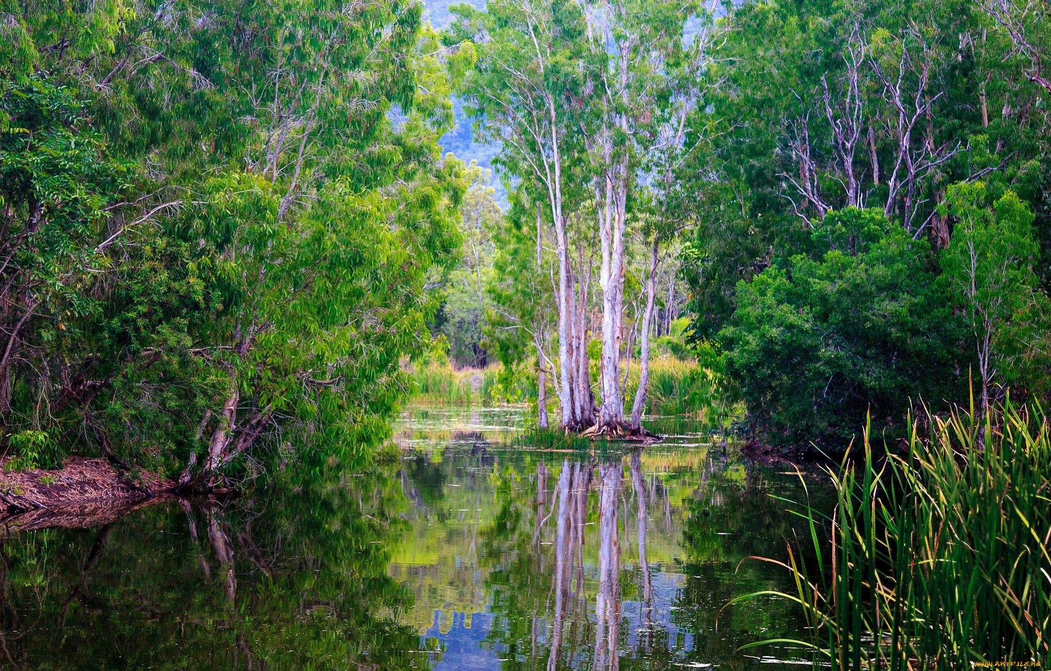 природа, реки, озера, простор