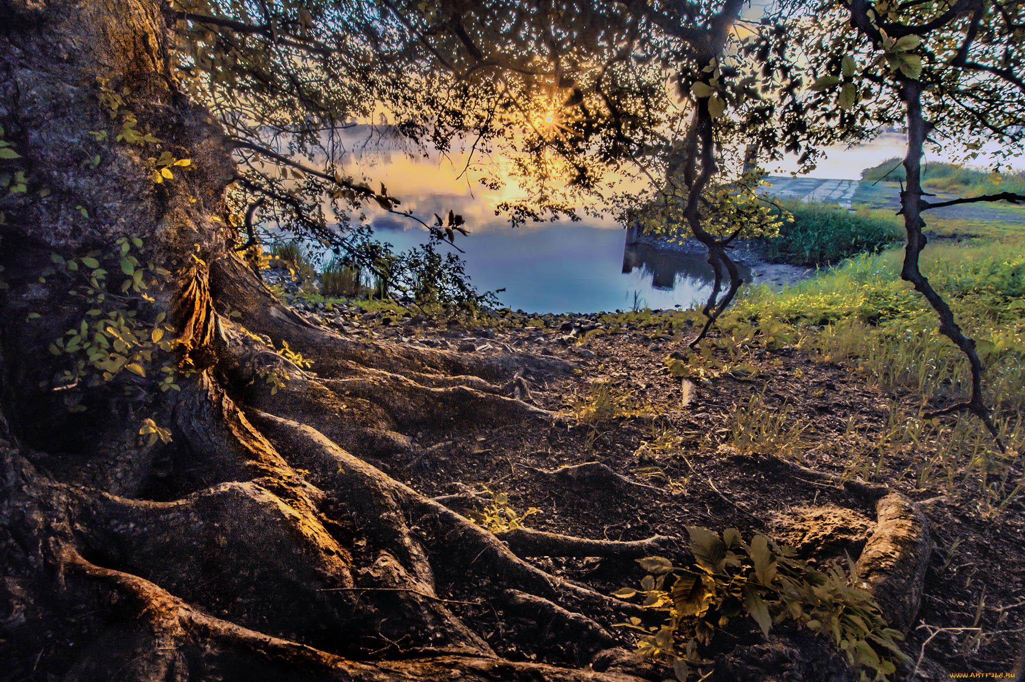 природа, пейзажи, простор