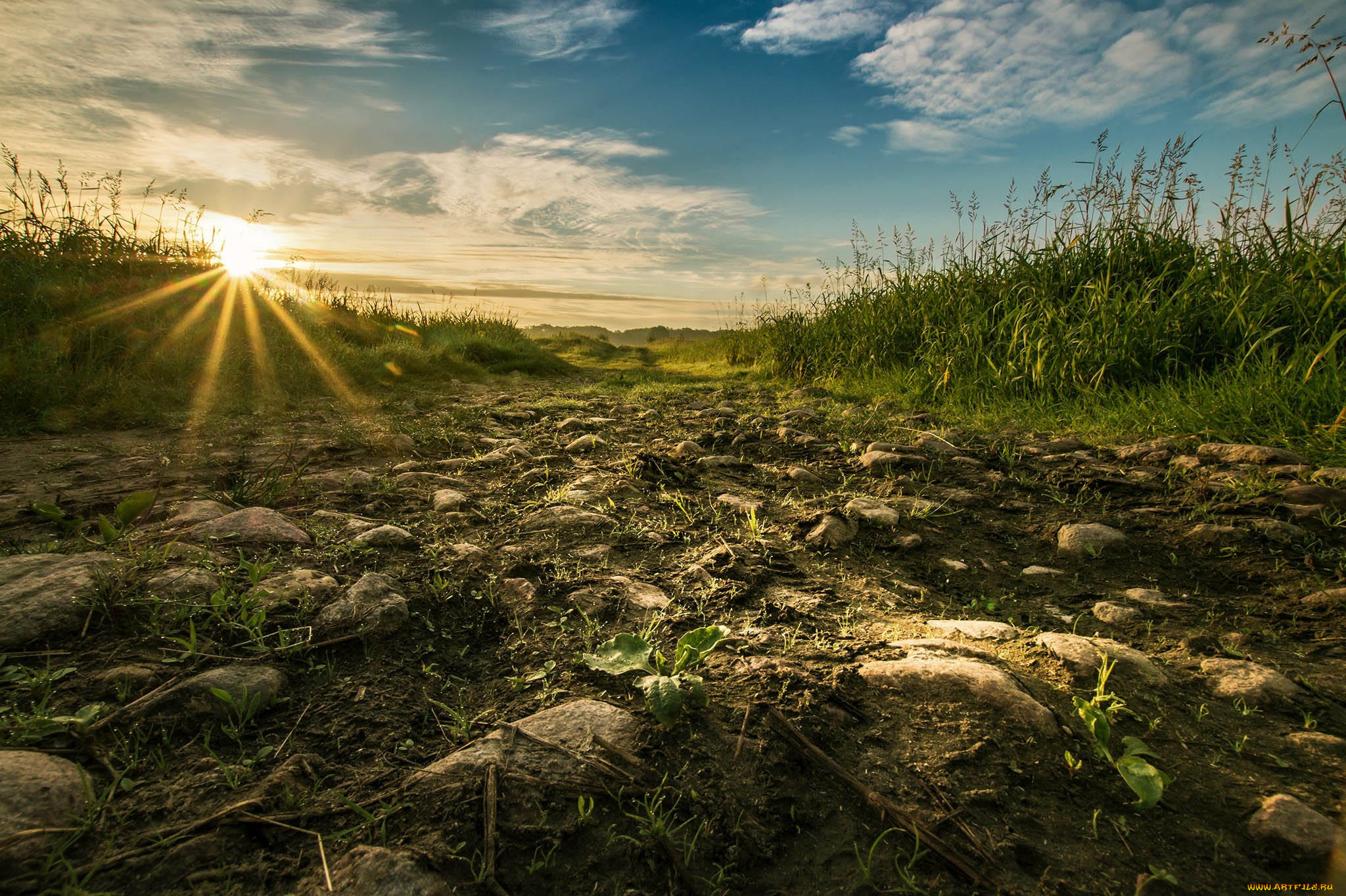 природа, восходы, закаты, простор