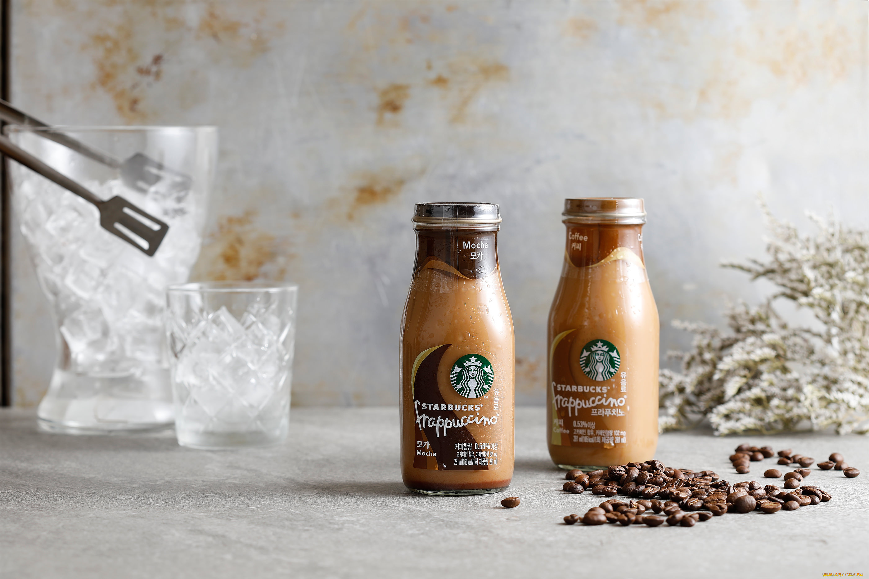 еда, кофе, , кофейные, зёрна, лед, кофейные, зерна, кофейный, напиток