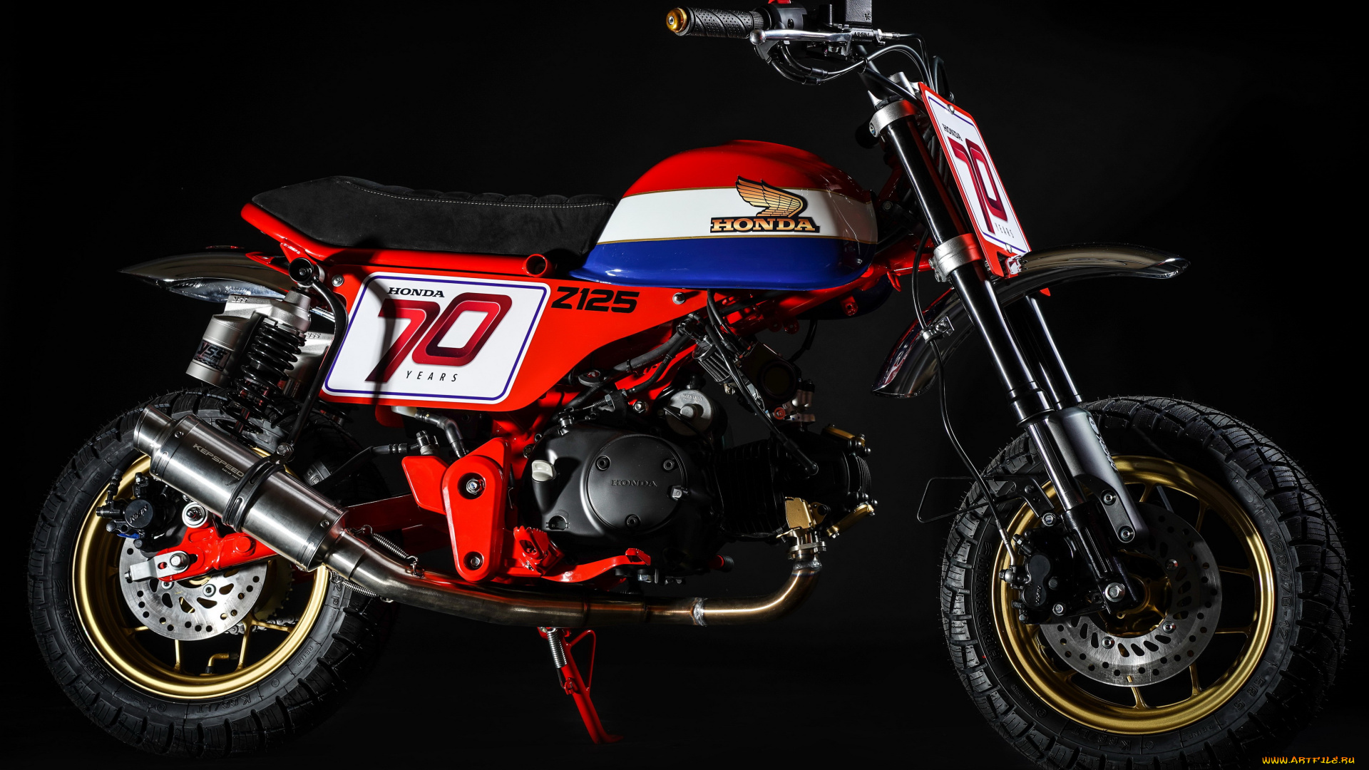 мотоциклы, honda, 2019, honda, monkey, z125