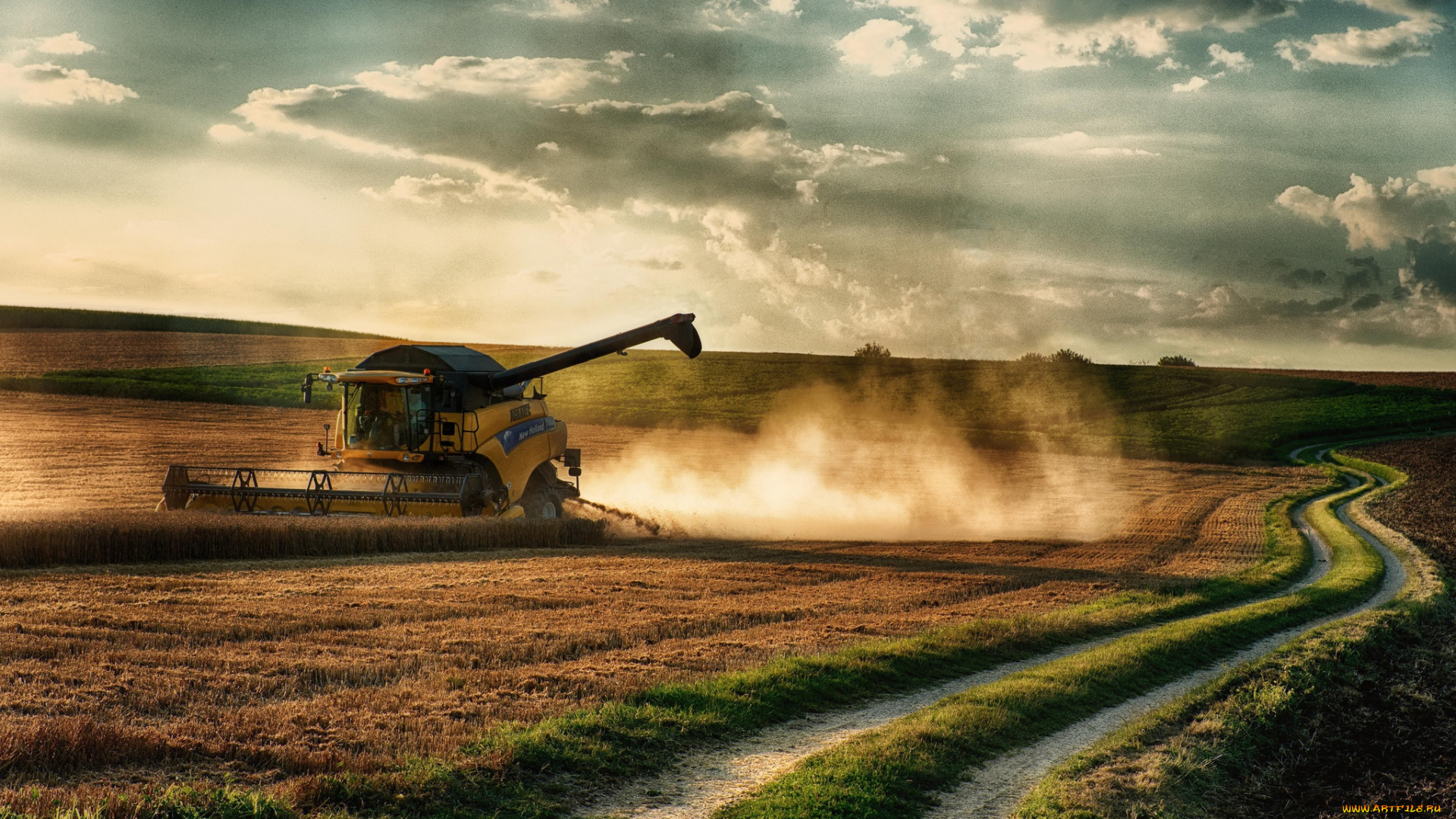 техника, комбайны, дорога, комбайн, жатва, поле