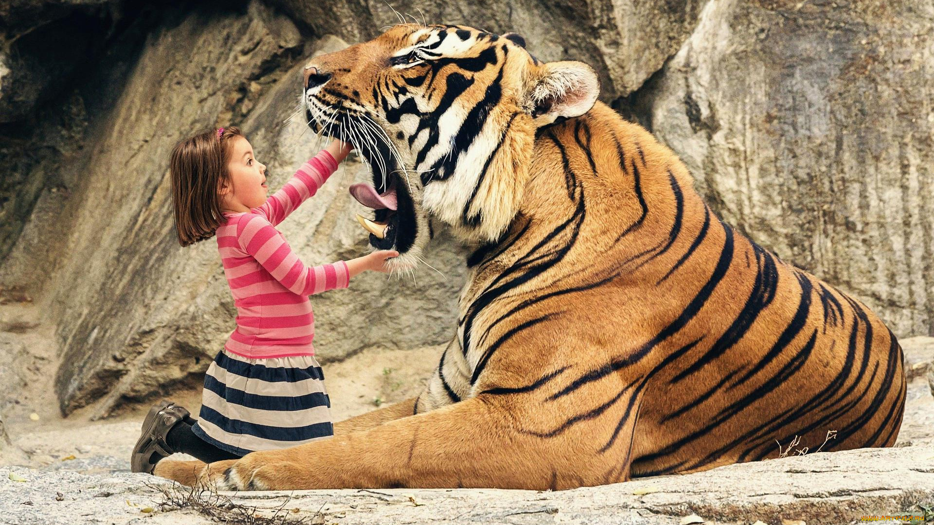 разное, компьютерный, дизайн, девочка, тигр, пасть