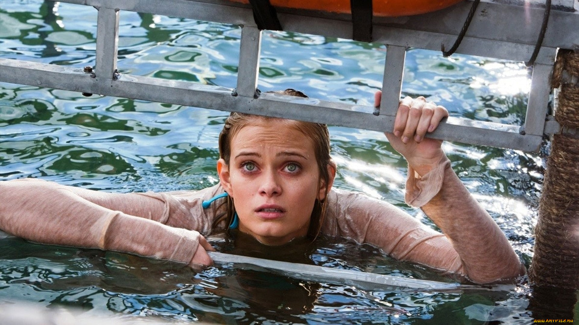 кино, фильмы, shark, night, 3d, клетка, вода, девушка