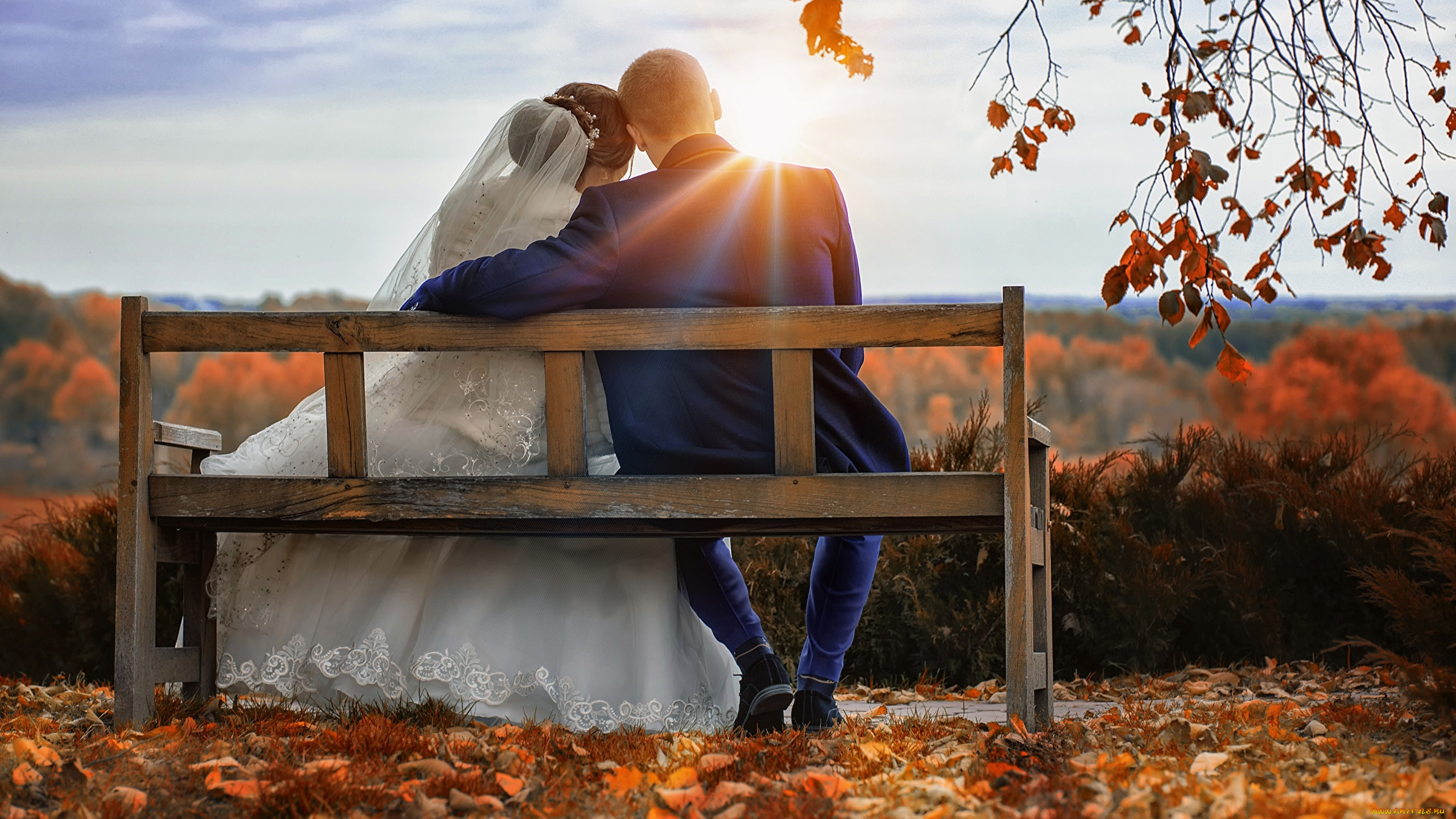 разное, мужчина, женщина, осень, листопад, скамейка, новобрачные, фата