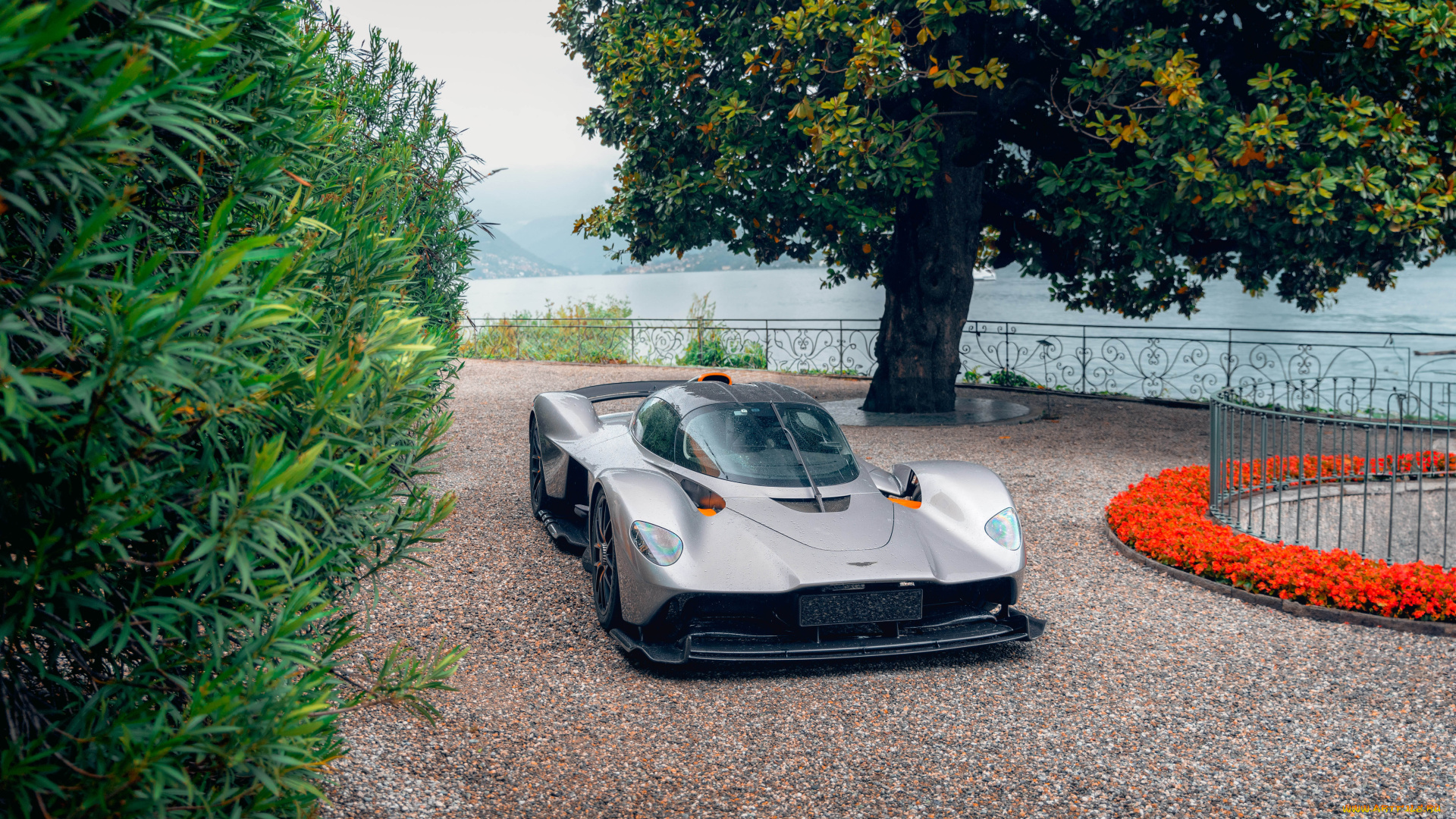 автомобили, aston, martin, aston-martin