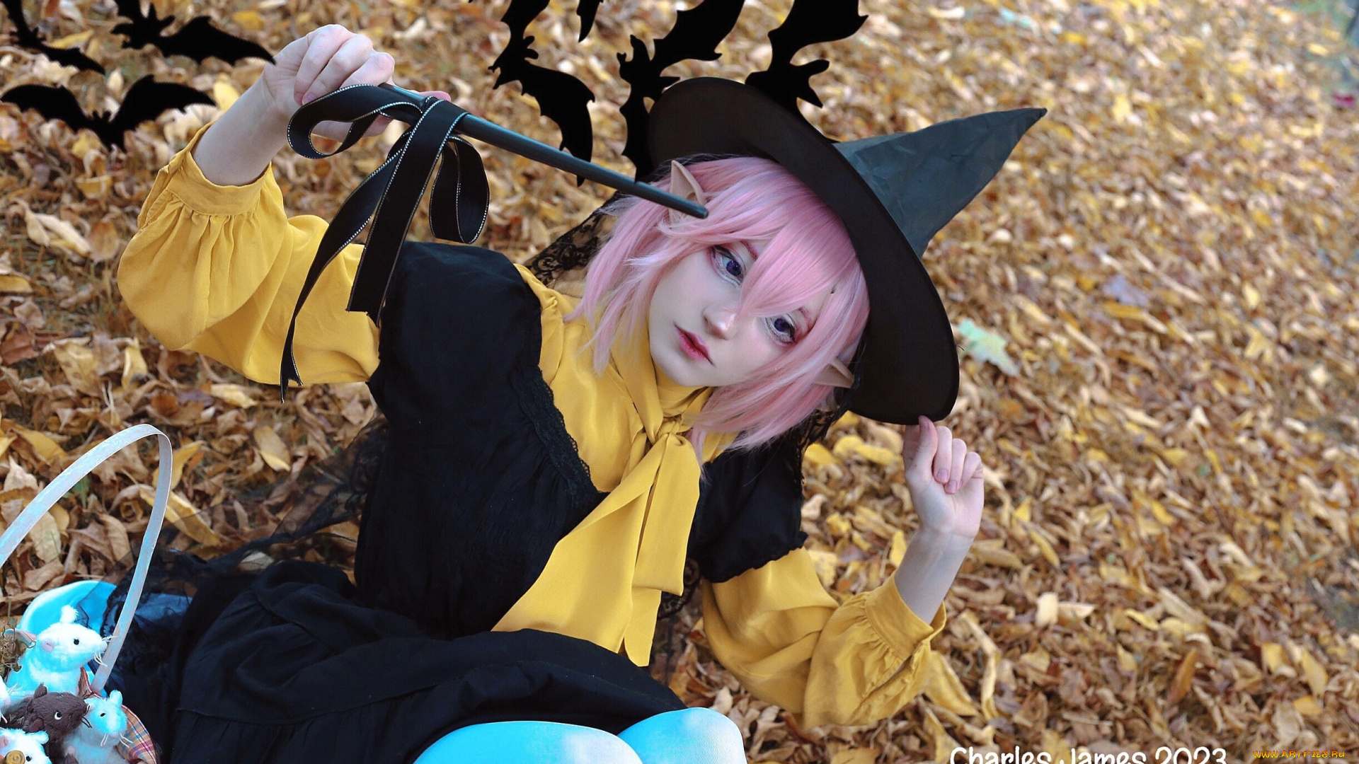 charles, james, девушки, -, креатив, , косплей, костюм, образ, осень, листья