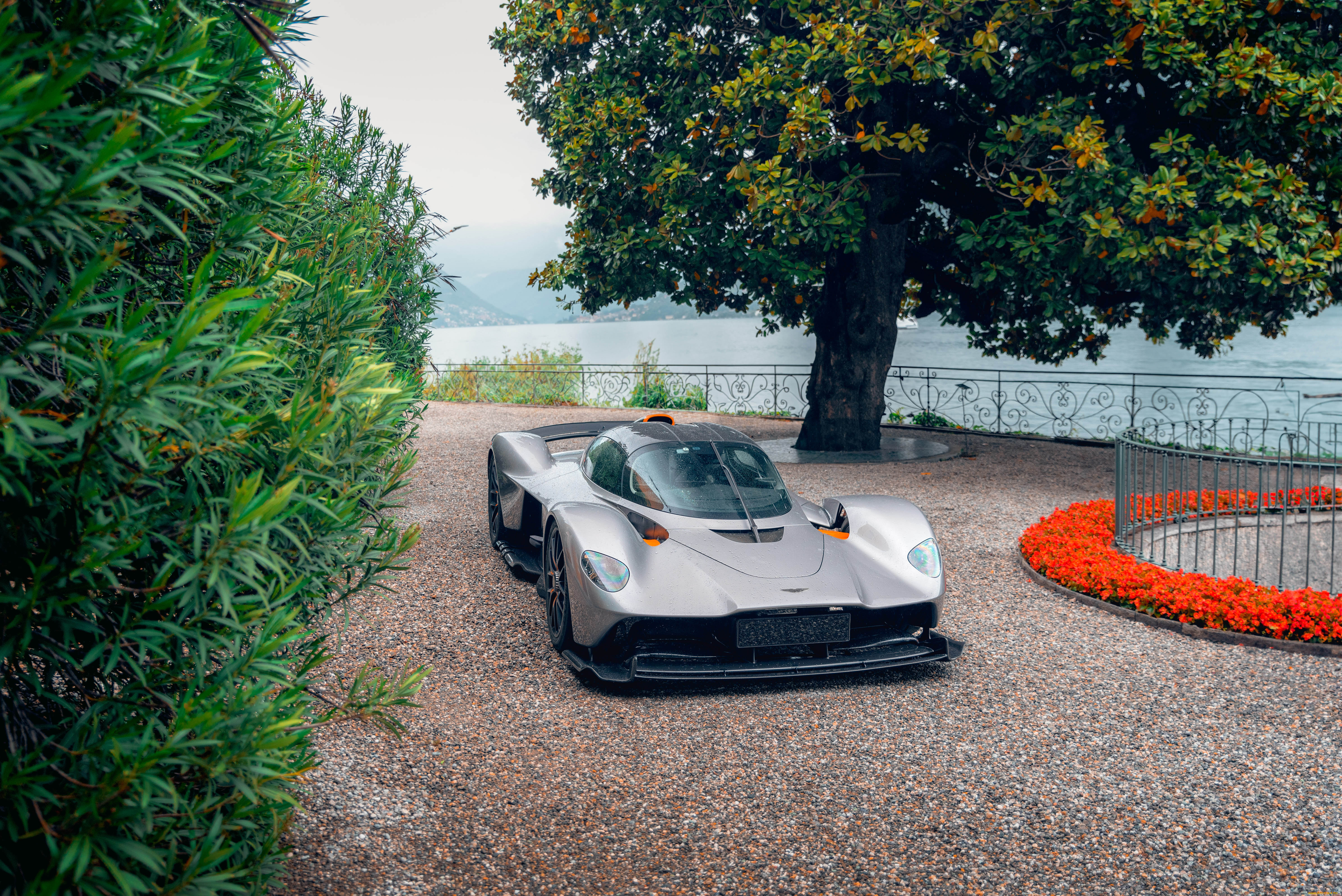 автомобили, aston, martin, aston-martin