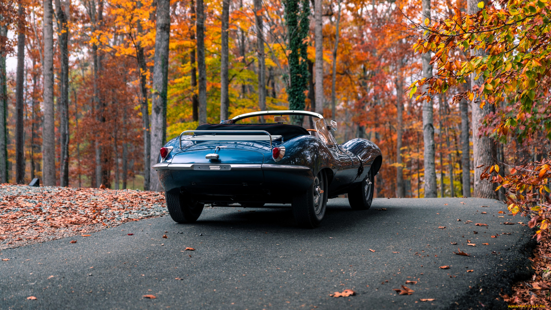 автомобили, jaguar, синий, родстер, лес, осень, дорога, листья