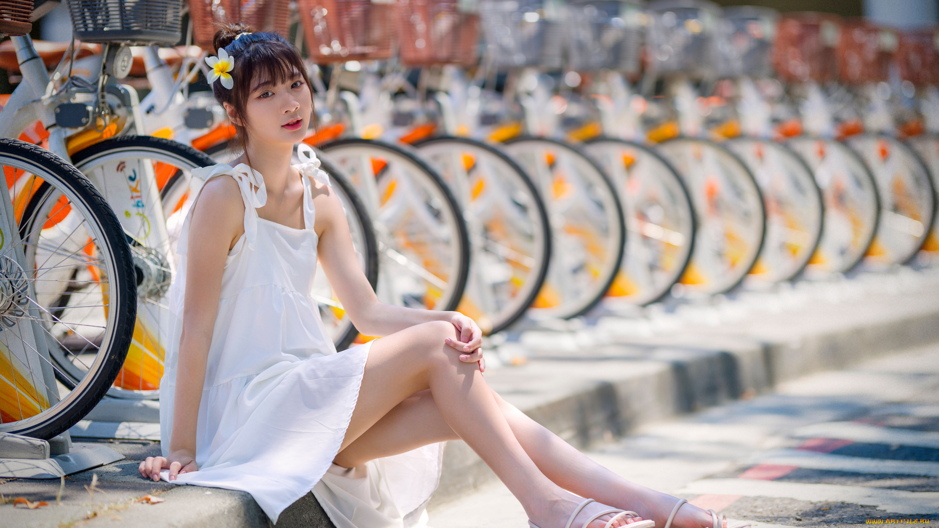 девушки, -, азиатки, девушка