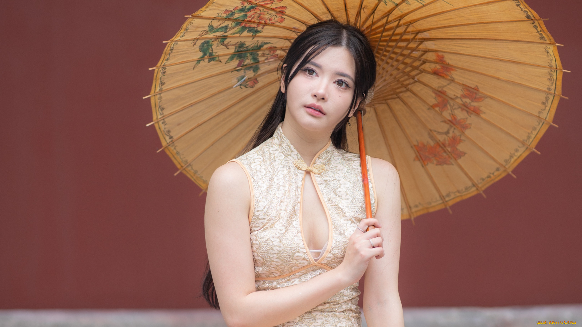 девушки, -, азиатки, девушка