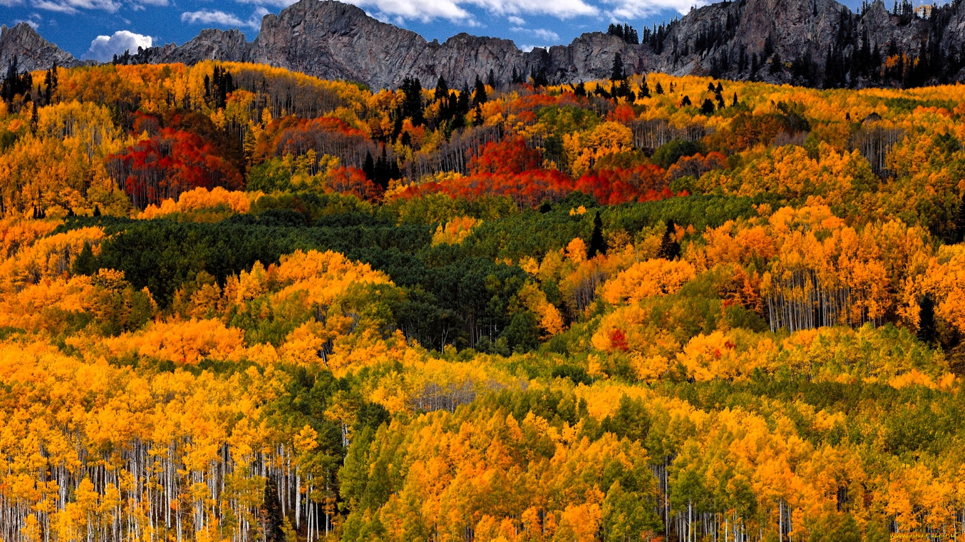 природа, лес, горы, осень