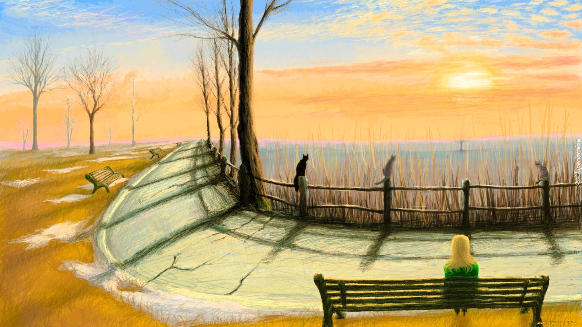 рисованное, люди, рассвет, море, деревья, забор, кошки, дорожка, скамейки, девушка