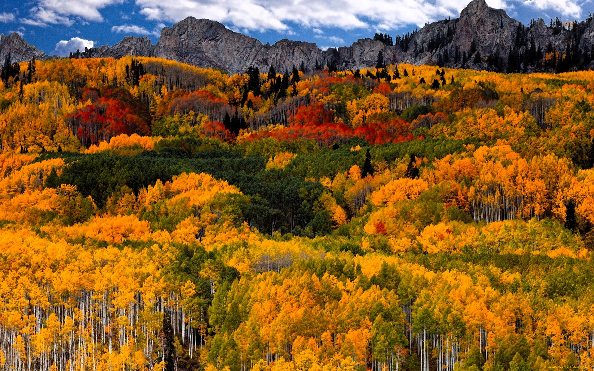 природа, лес, горы, осень