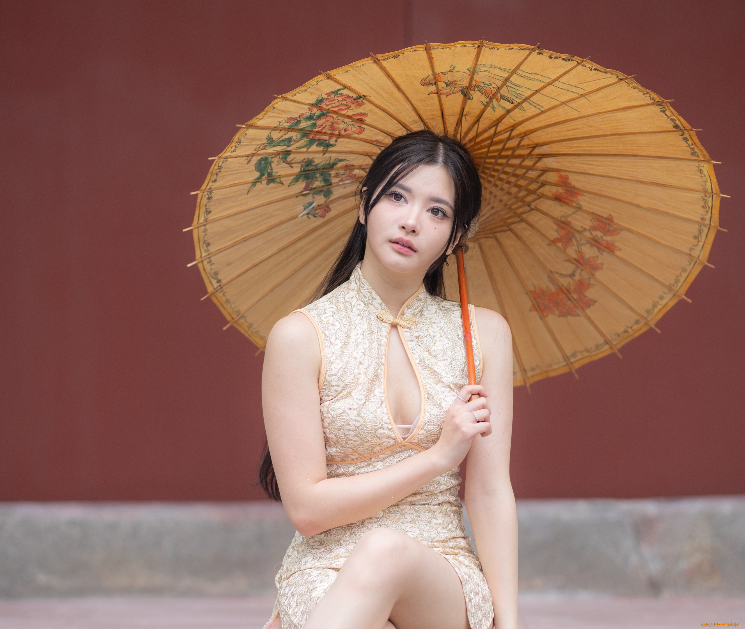 девушки, -, азиатки, девушка