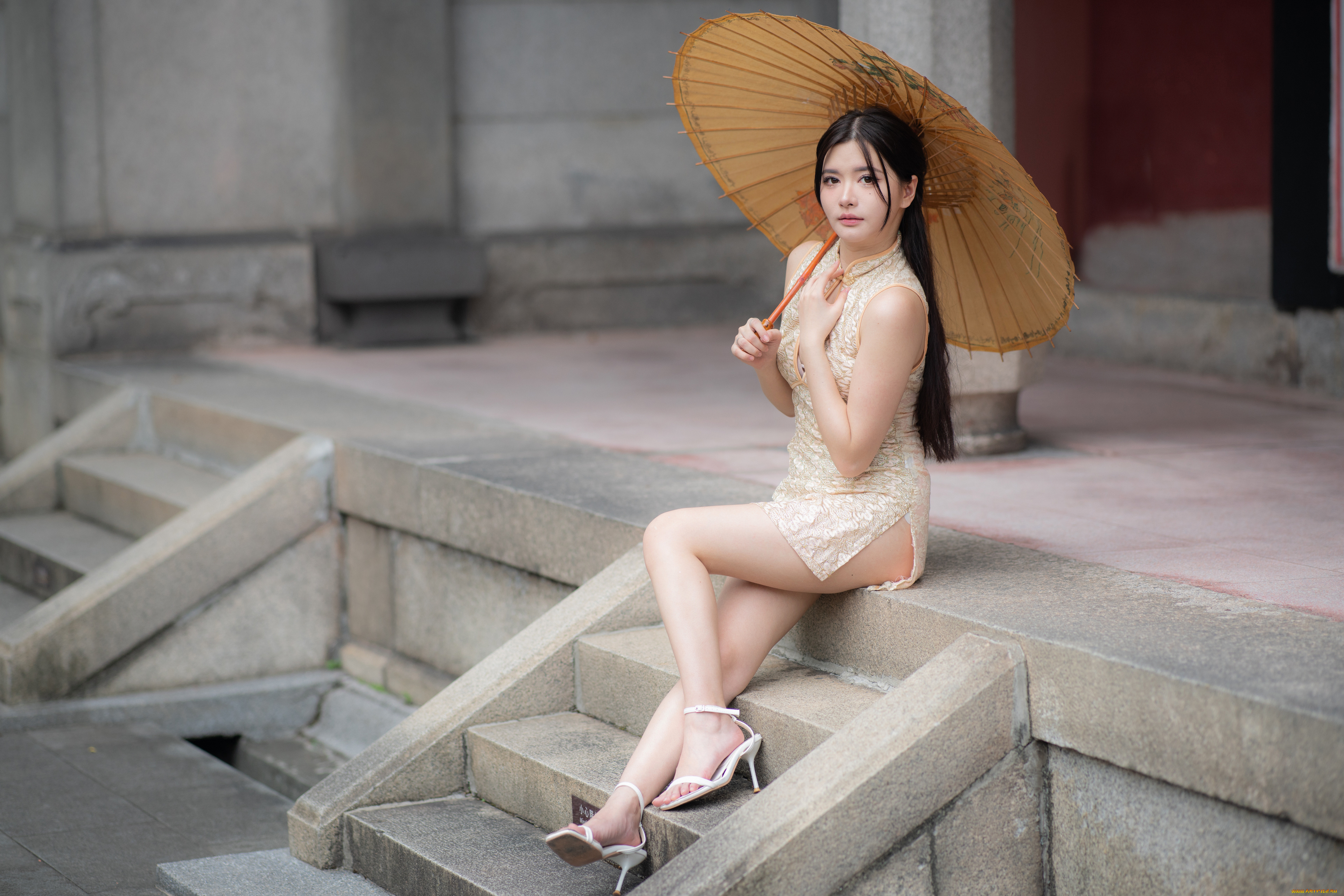 девушки, -, азиатки, девушка