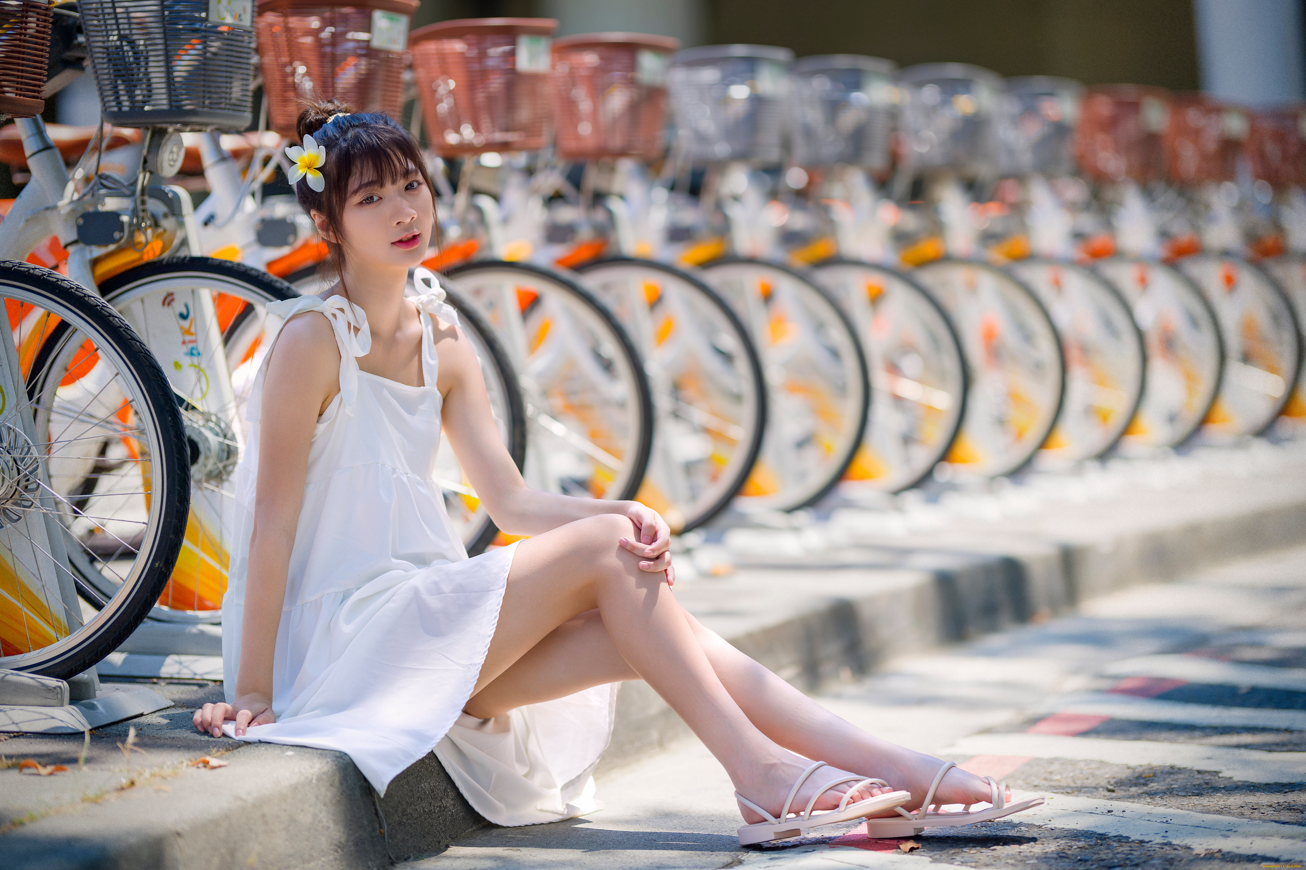 девушки, -, азиатки, девушка