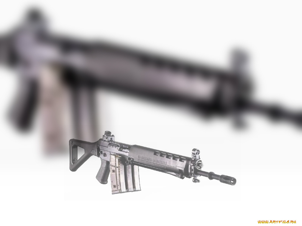 sig, 550, stgw, 90, оружие, автоматы