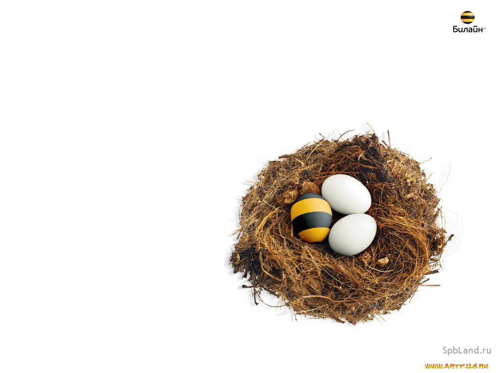 beeline, бренды