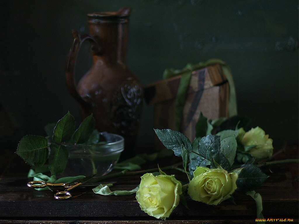 ира, быкова, три, жёлтые, розы, цветы