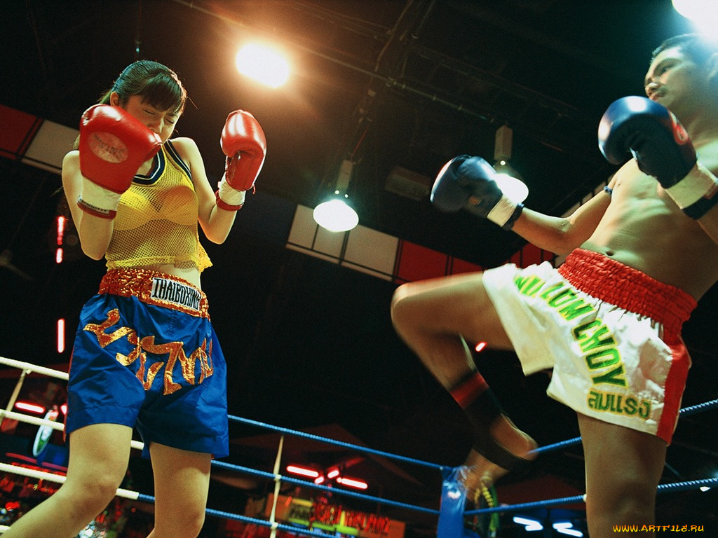 спорт, кик, боксинг
