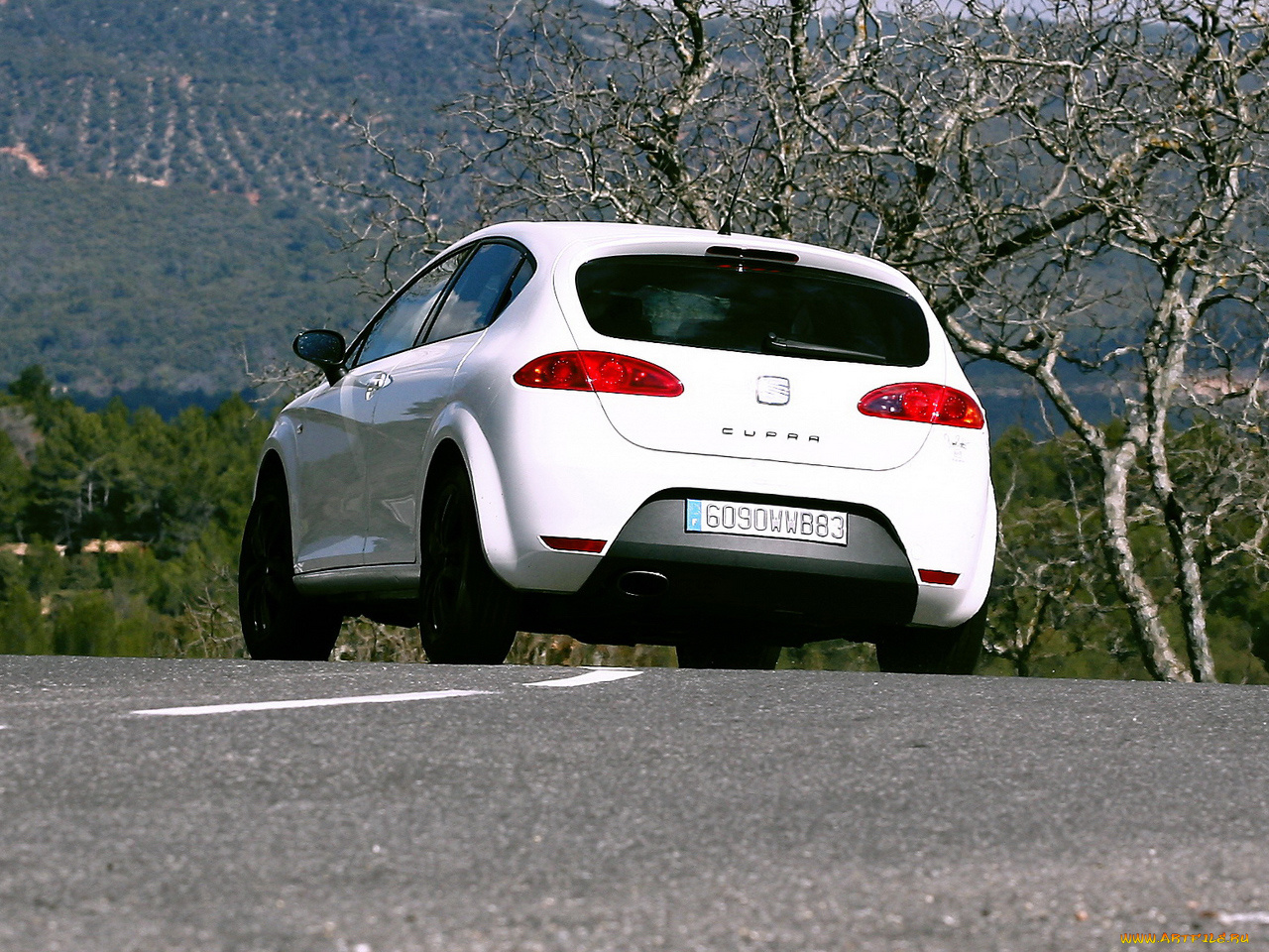 автомобили, seat