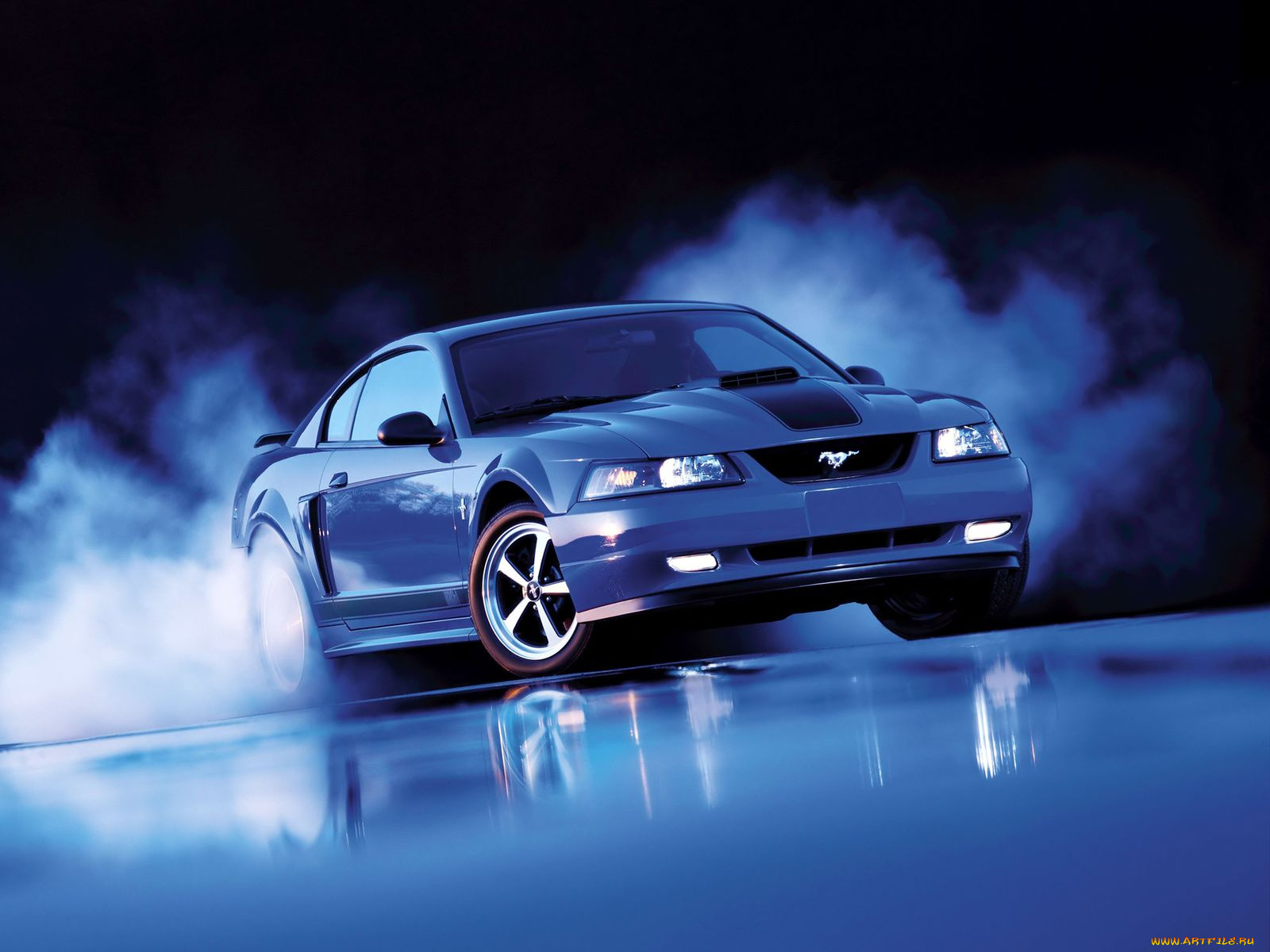 автомобили, mustang