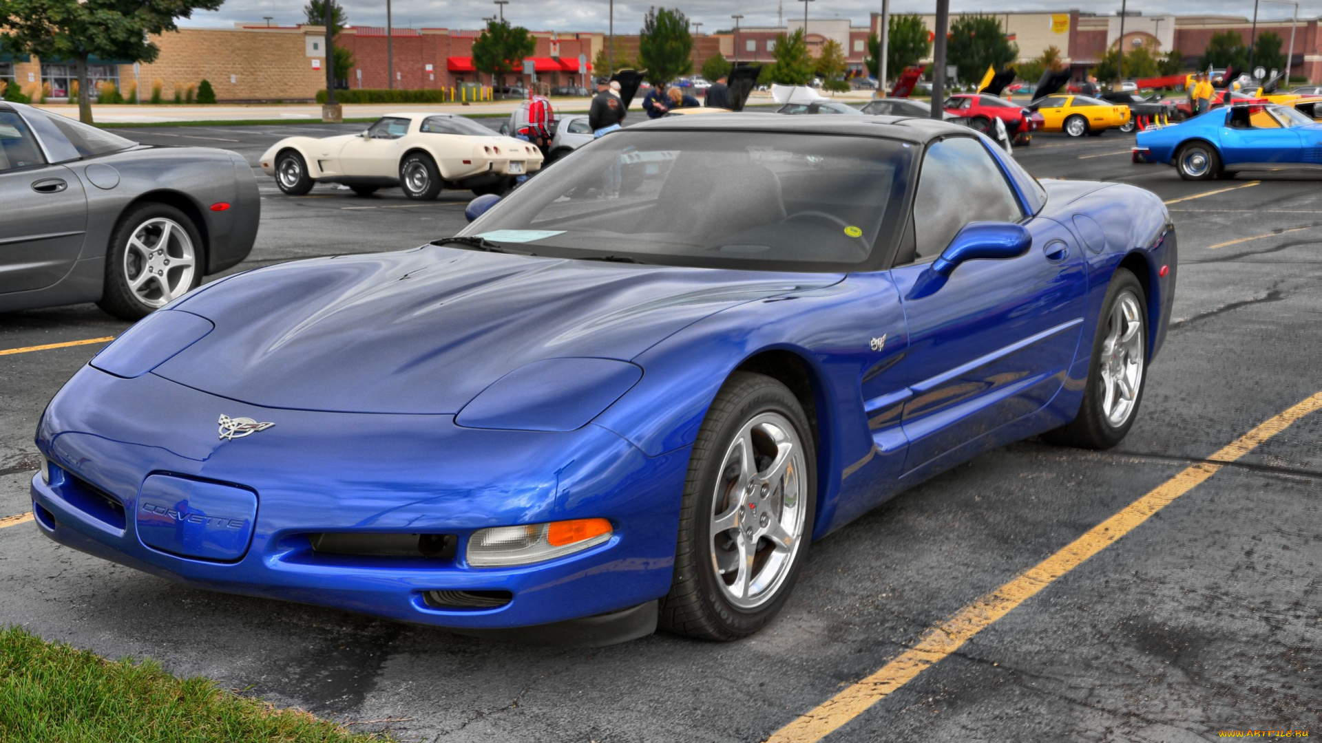 corvette, автомобили, выставки, уличные, фото