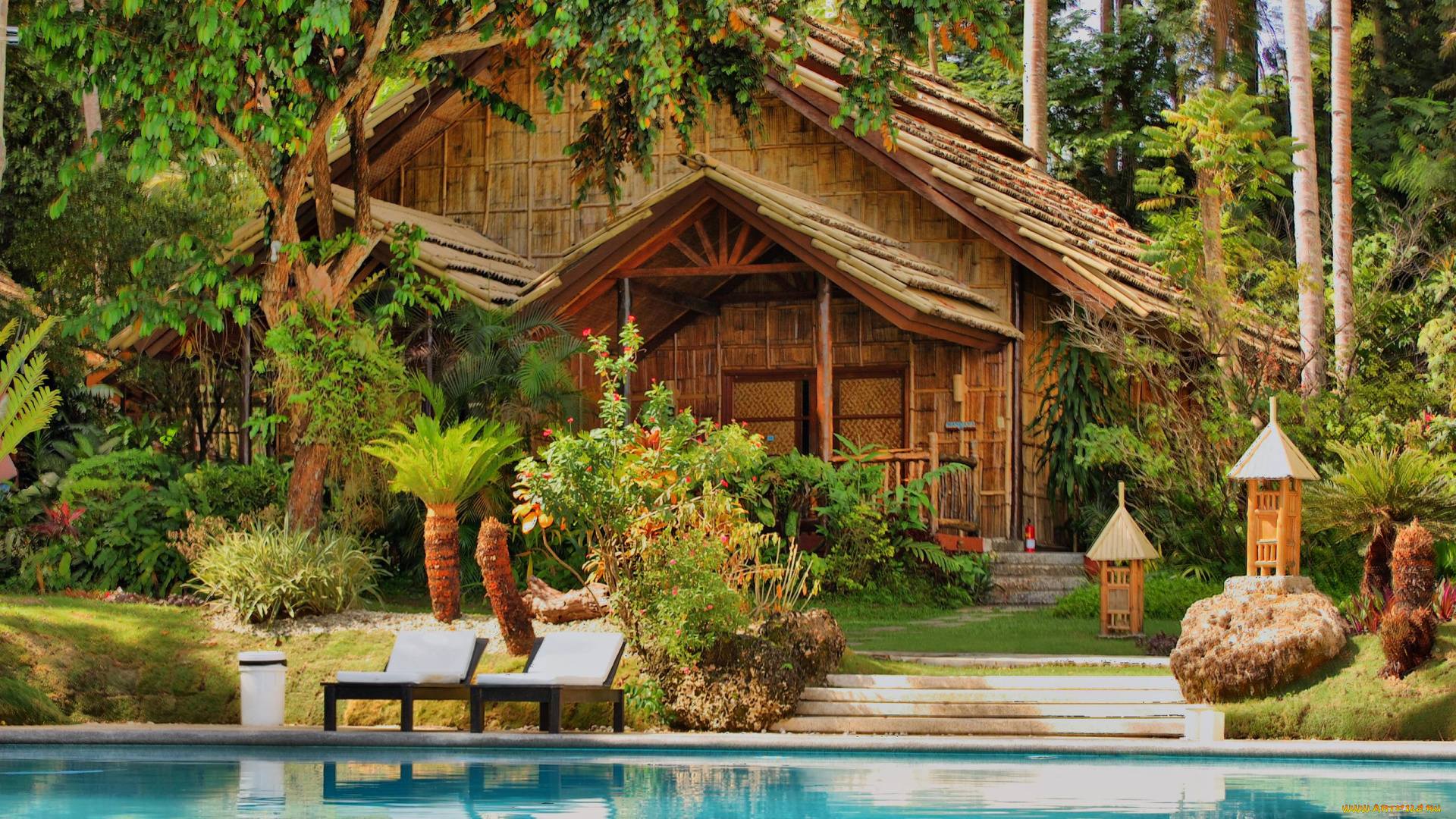 природа, тропики