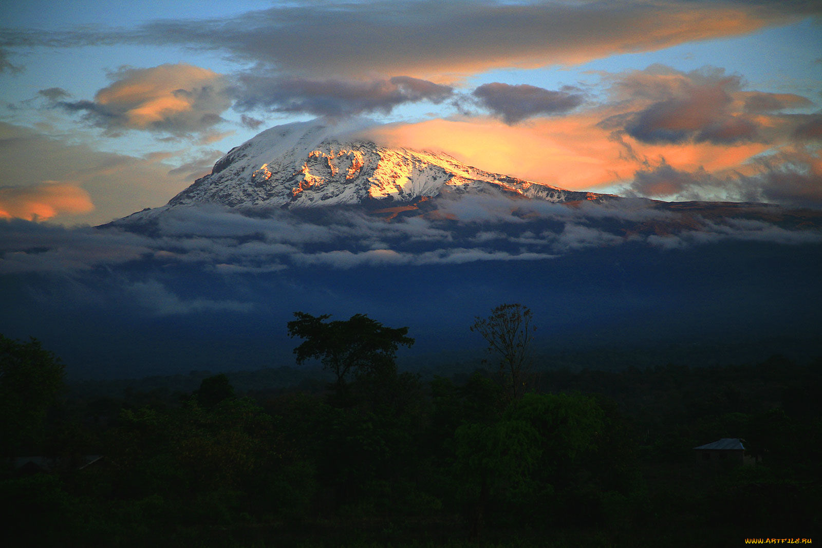 килиманджаро, природа, горы, облака