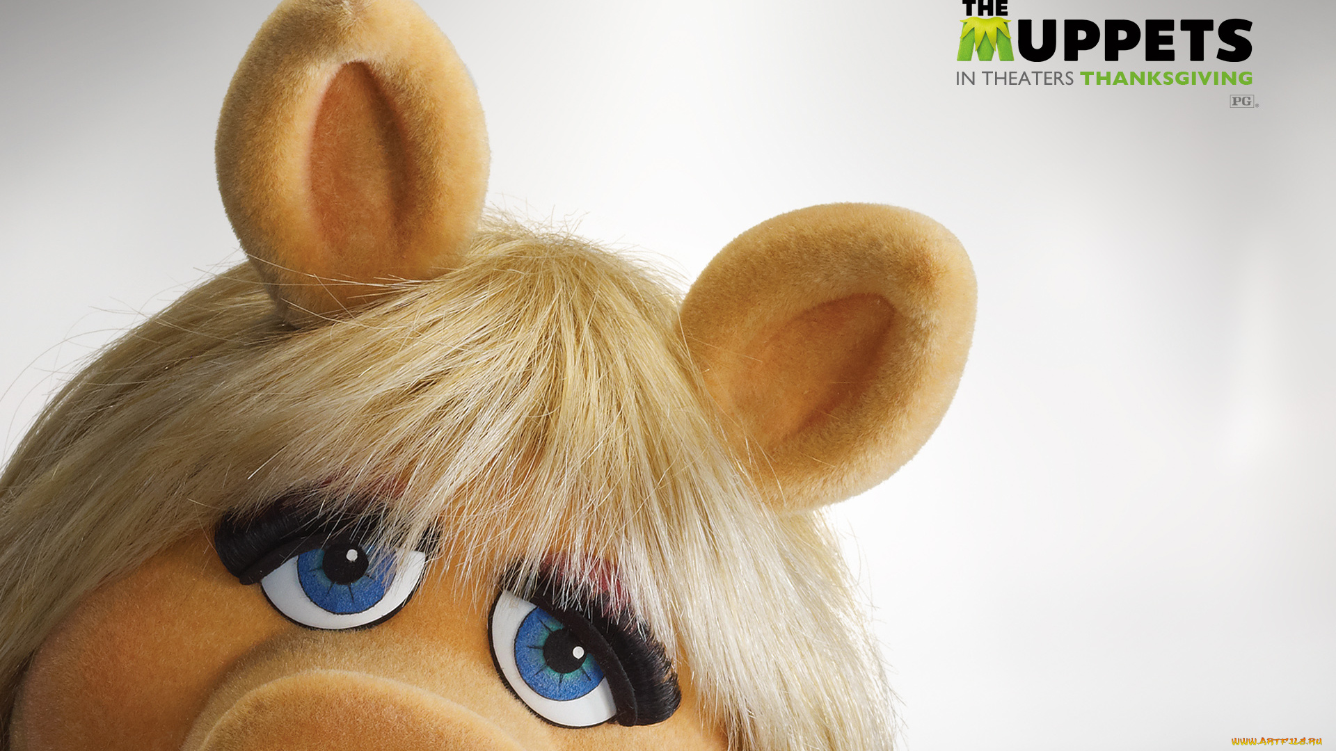 кино, фильмы, the, muppet, show, маппет