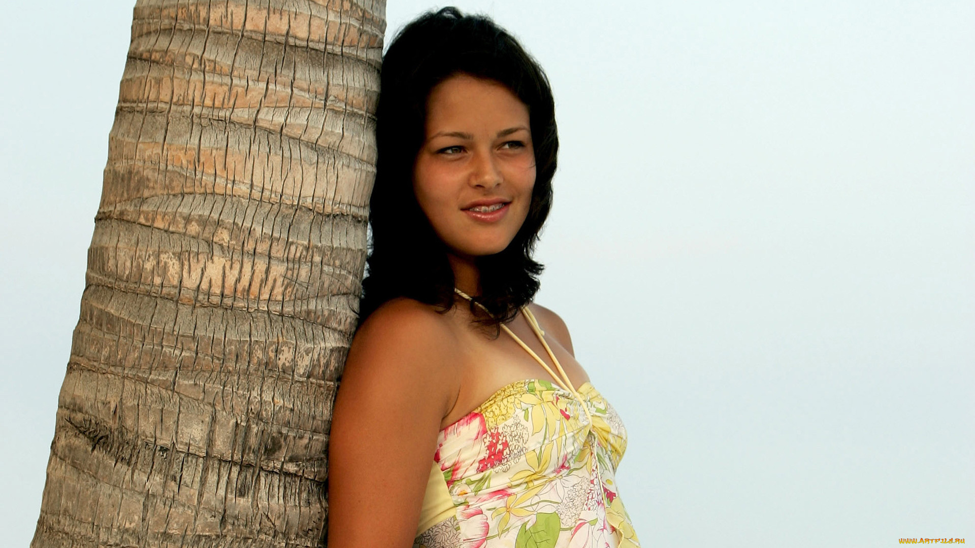 Ana, Ivanovic, девушки, , , ствол, пальмы, девушка