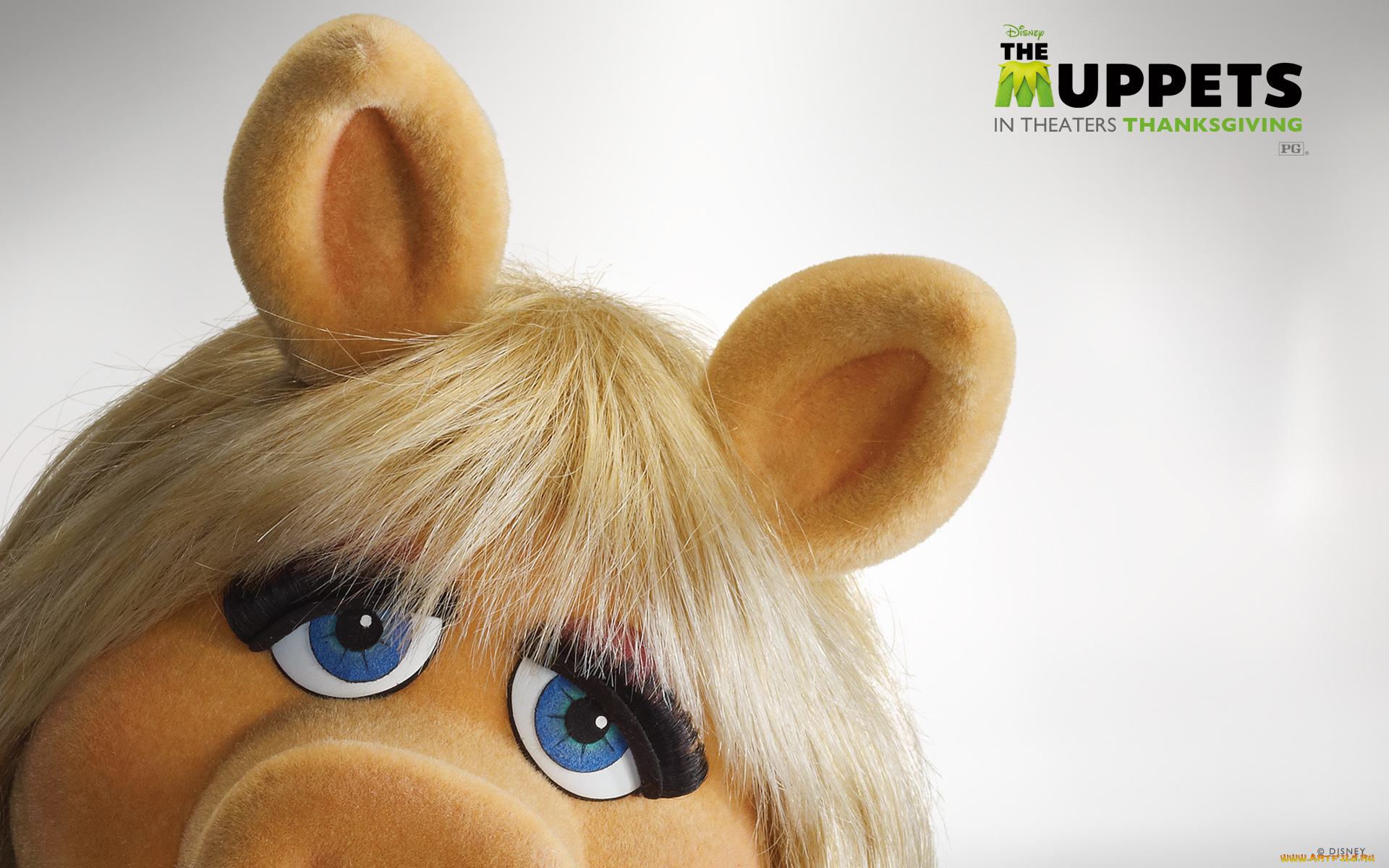 кино, фильмы, the, muppet, show, маппет