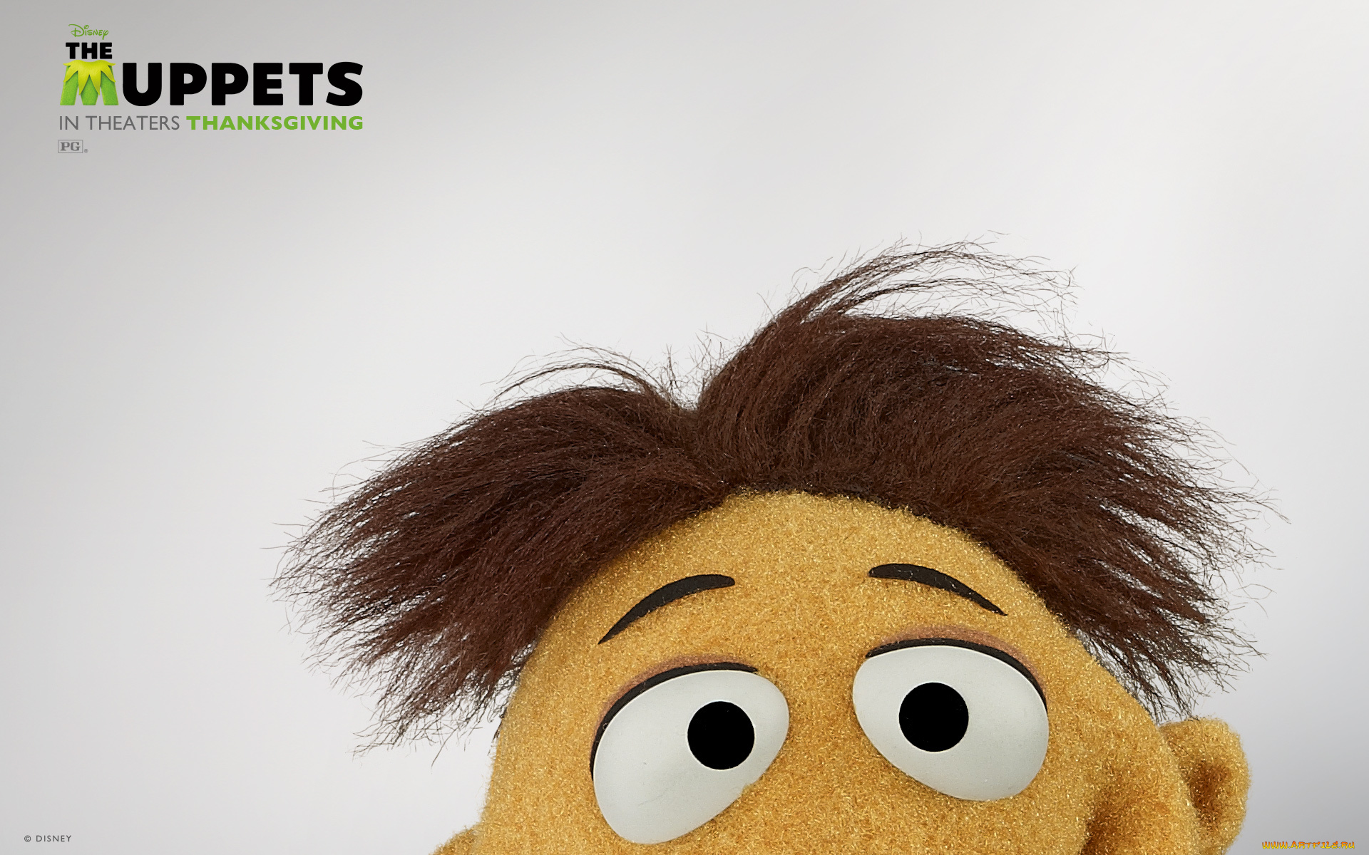 кино, фильмы, the, muppet, show, маппет