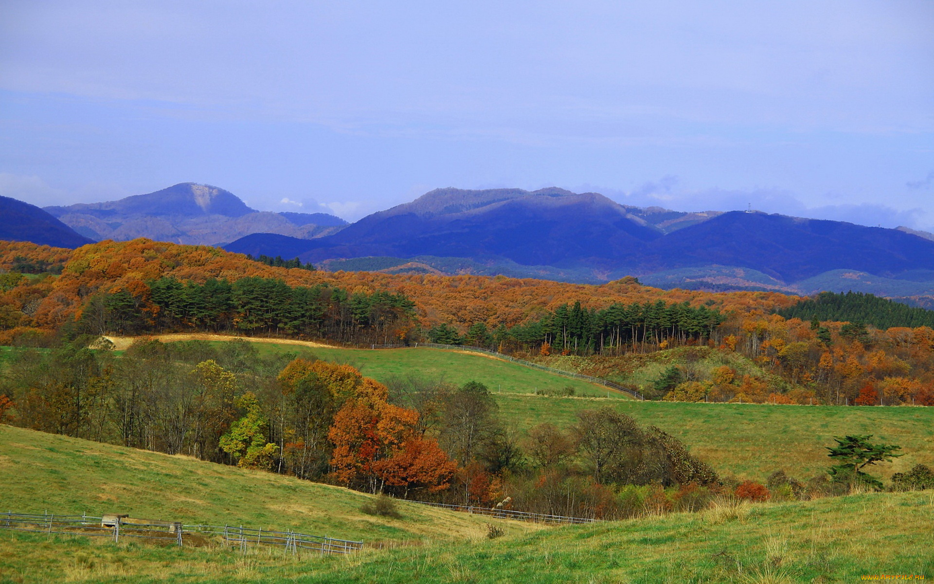 природа, поля, забор, горы, лес
