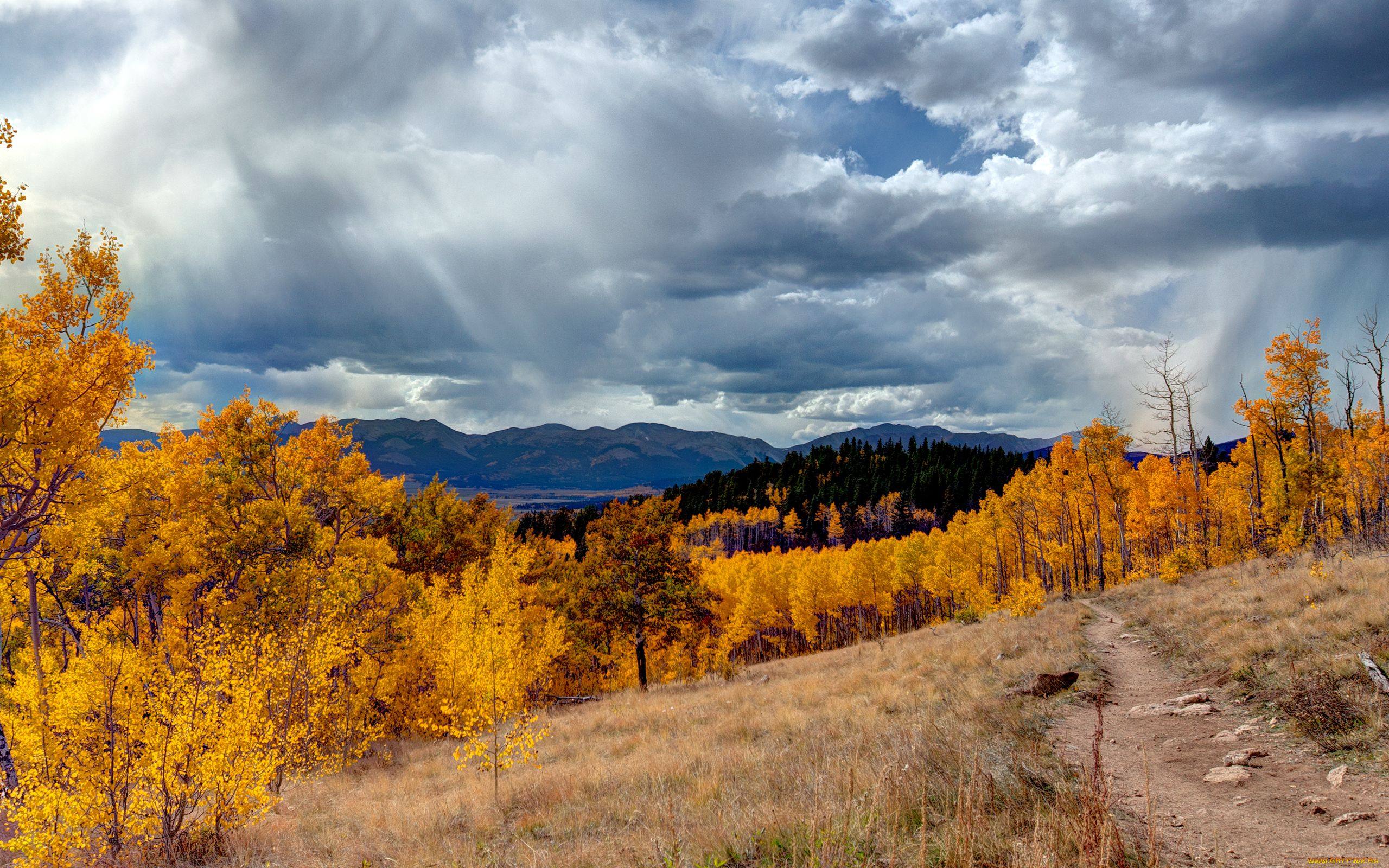 aspen, colorado, природа, пейзажи, осень, деревья, горы