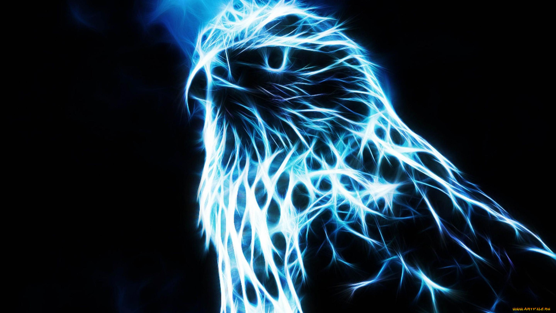 3д, графика, animals, животные, фон, узор, цвета