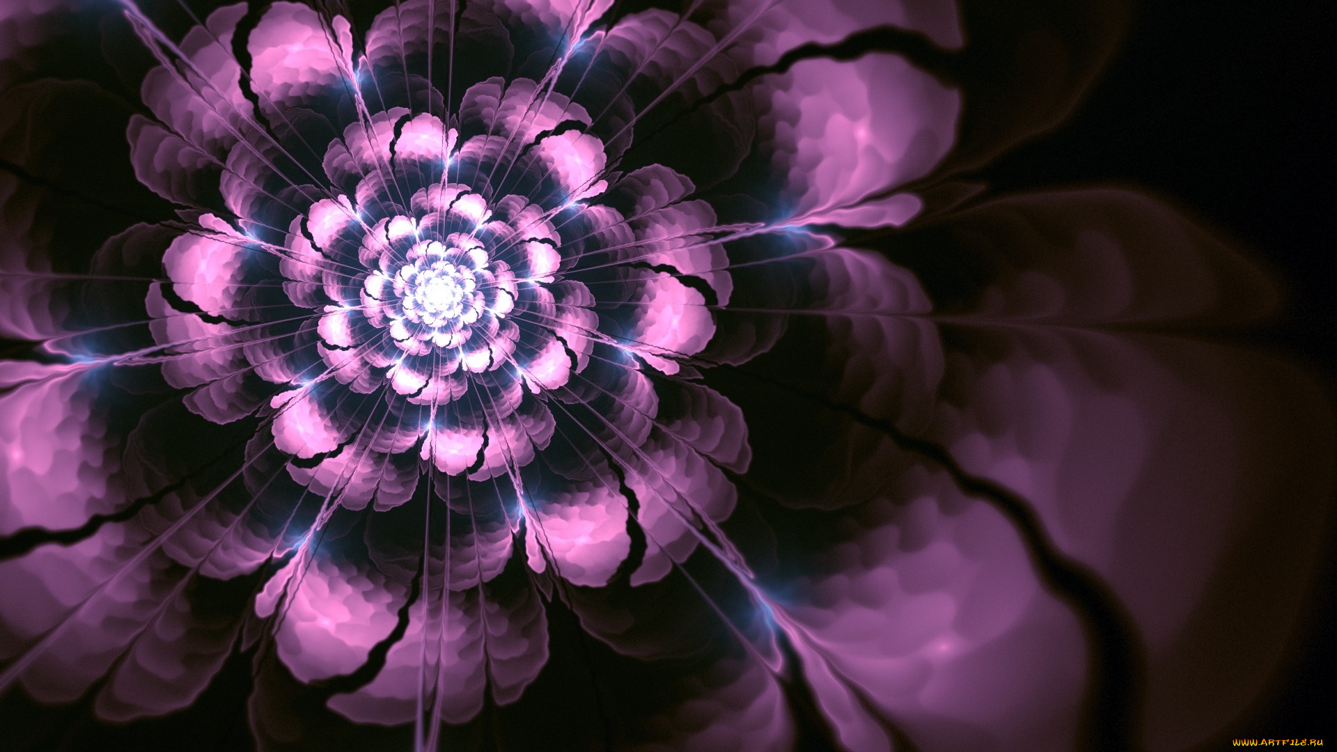 3д, графика, flowers, цветы, цветок