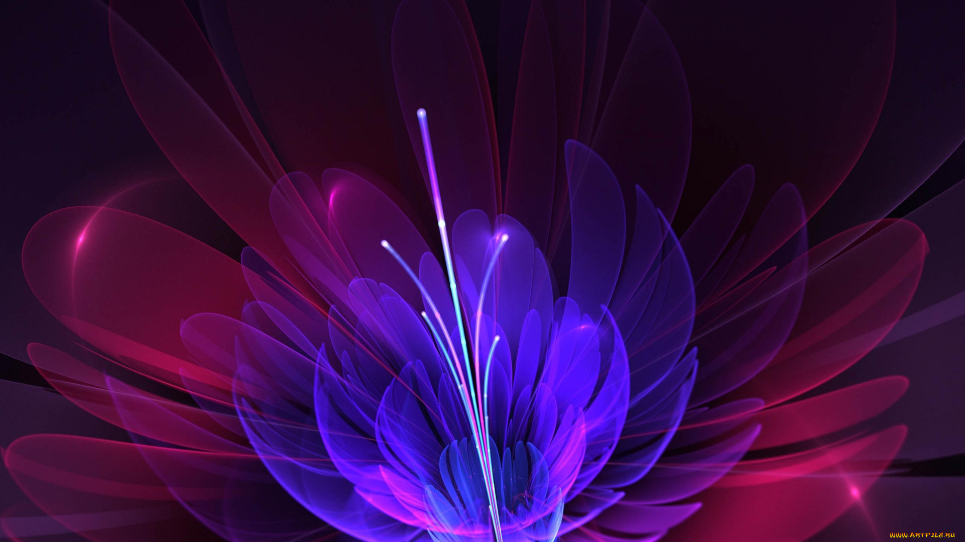 3д, графика, flowers, цветы, узор, фон, цвета