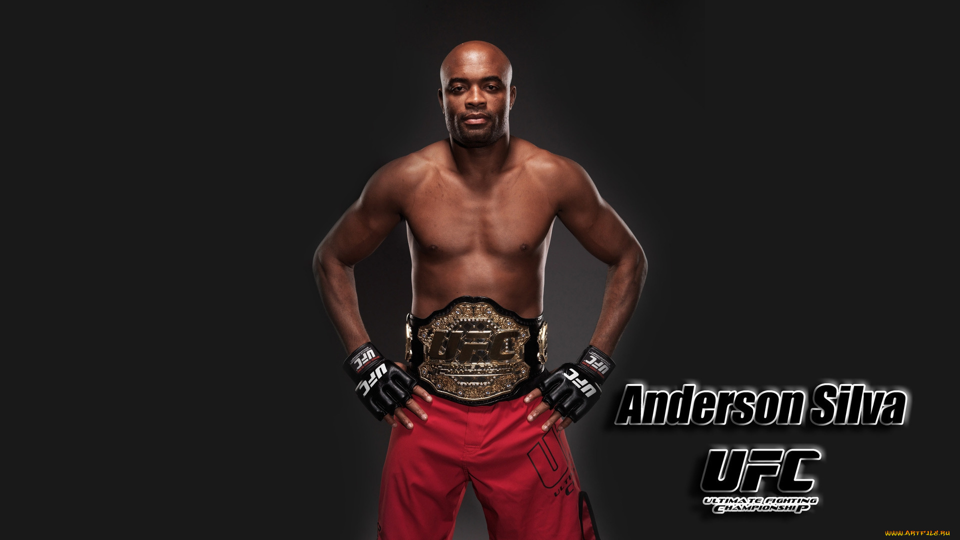 anderson, silva, спорт, mix, fight, чемпион, смешанные, единоборства