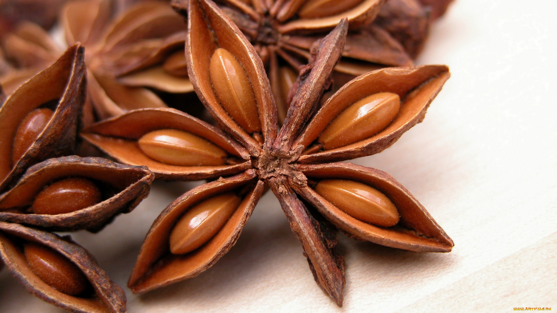 еда, крупы, зерно, специи, семечки, бадьян