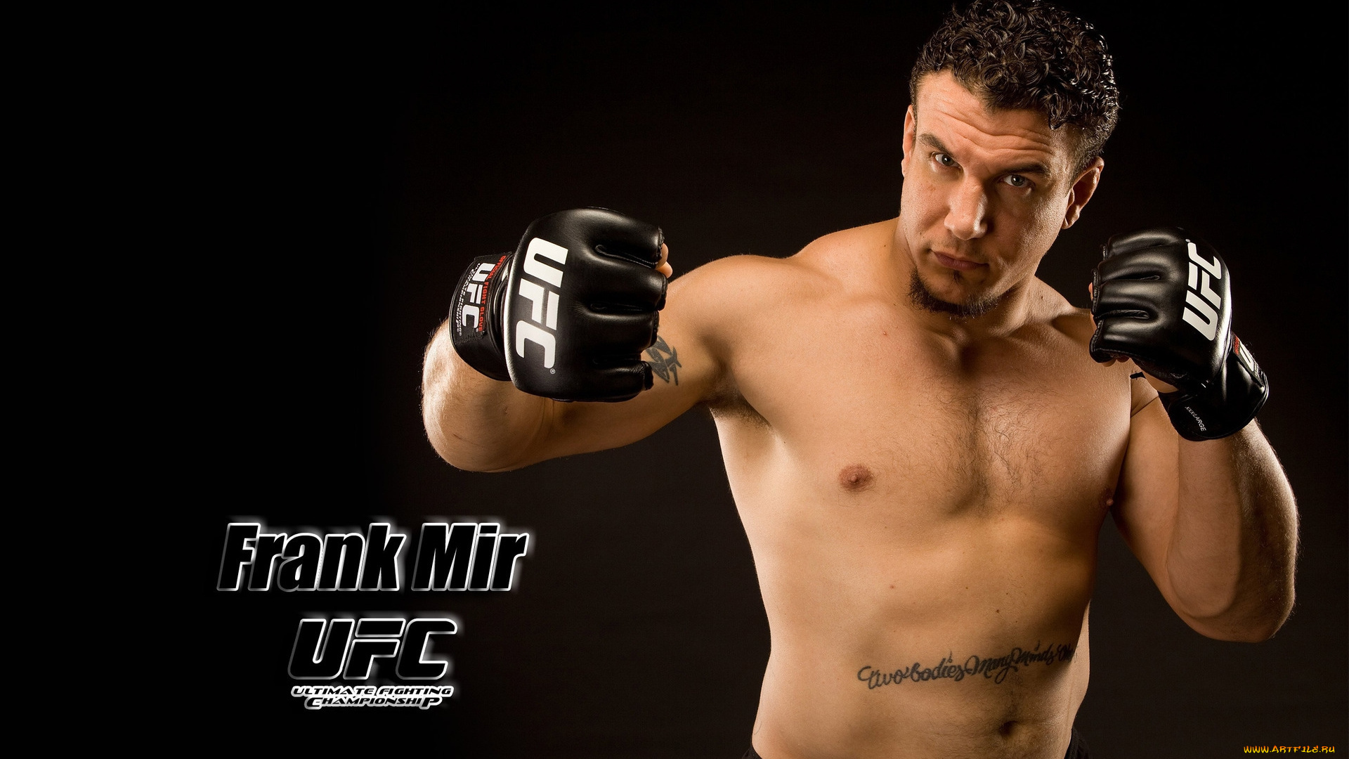frank, mir, спорт, mix, fight, боец, смешанные, единоборства, сша