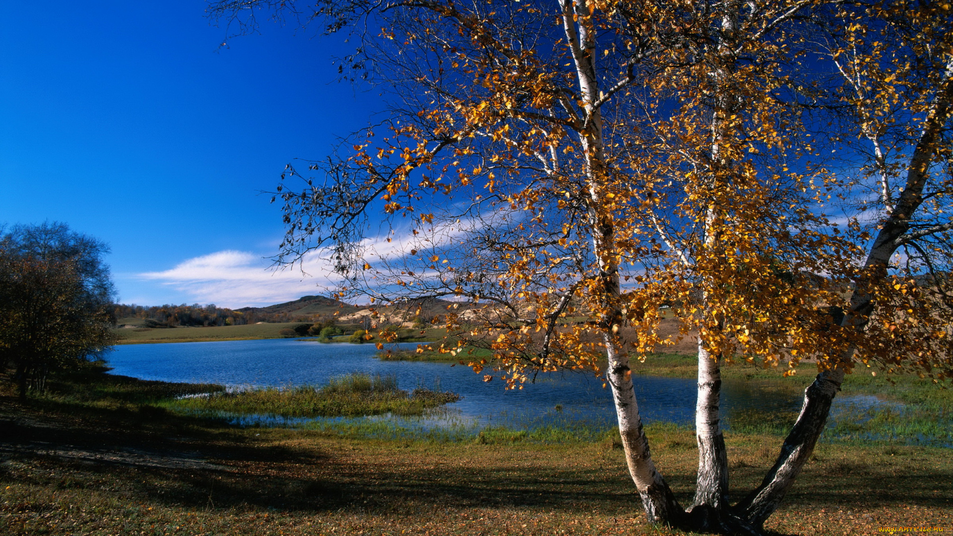 природа, реки, озера, река, осень