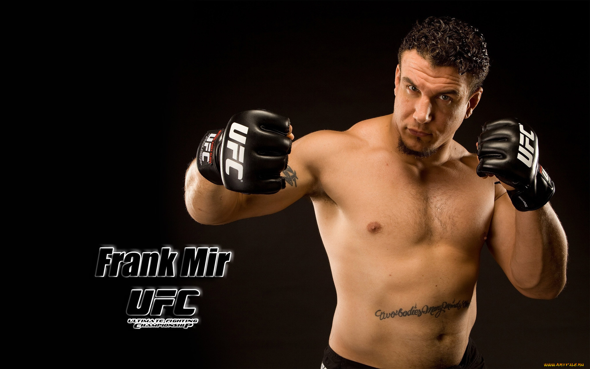 frank, mir, спорт, mix, fight, боец, смешанные, единоборства, сша