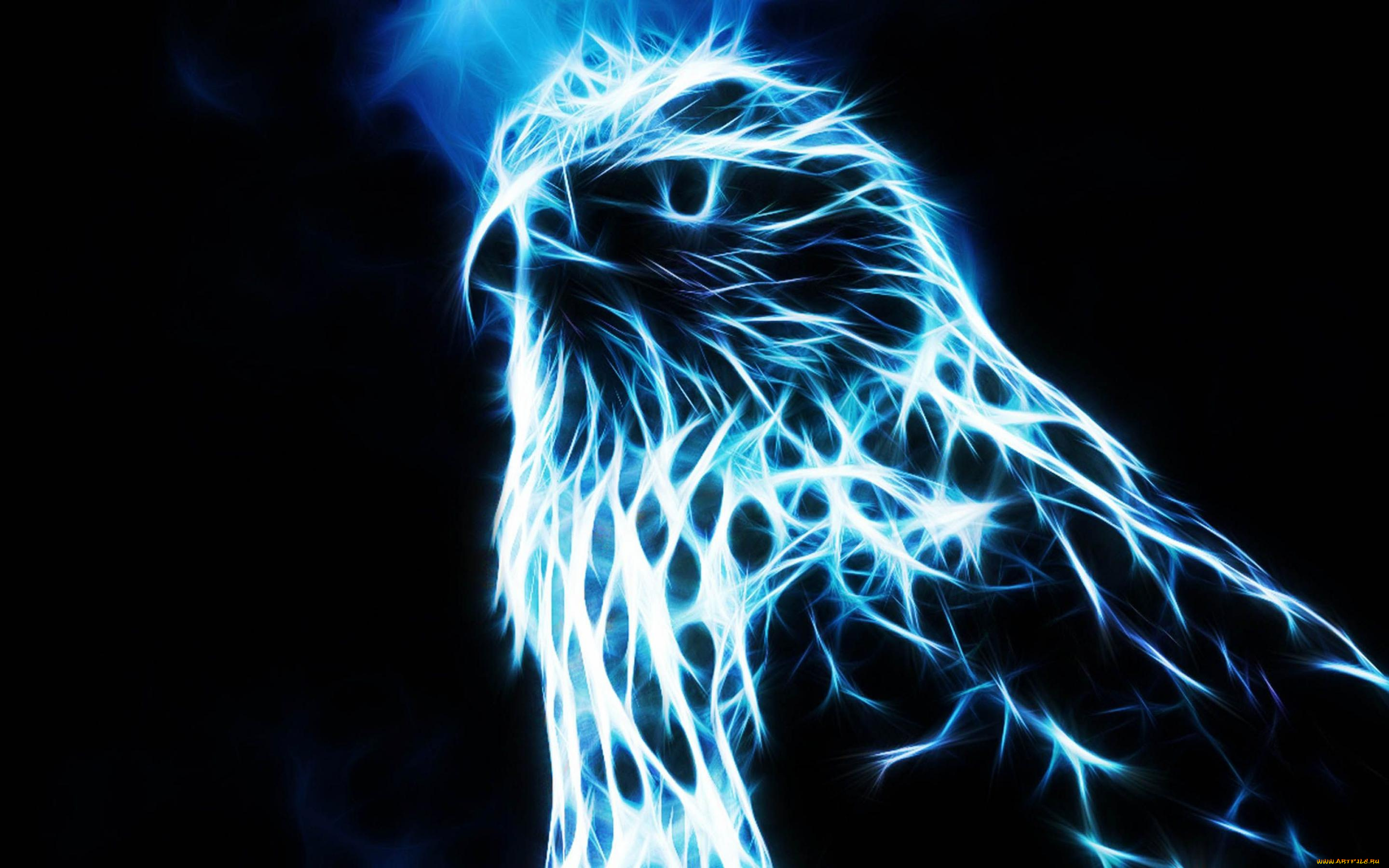 3д, графика, animals, животные, фон, узор, цвета