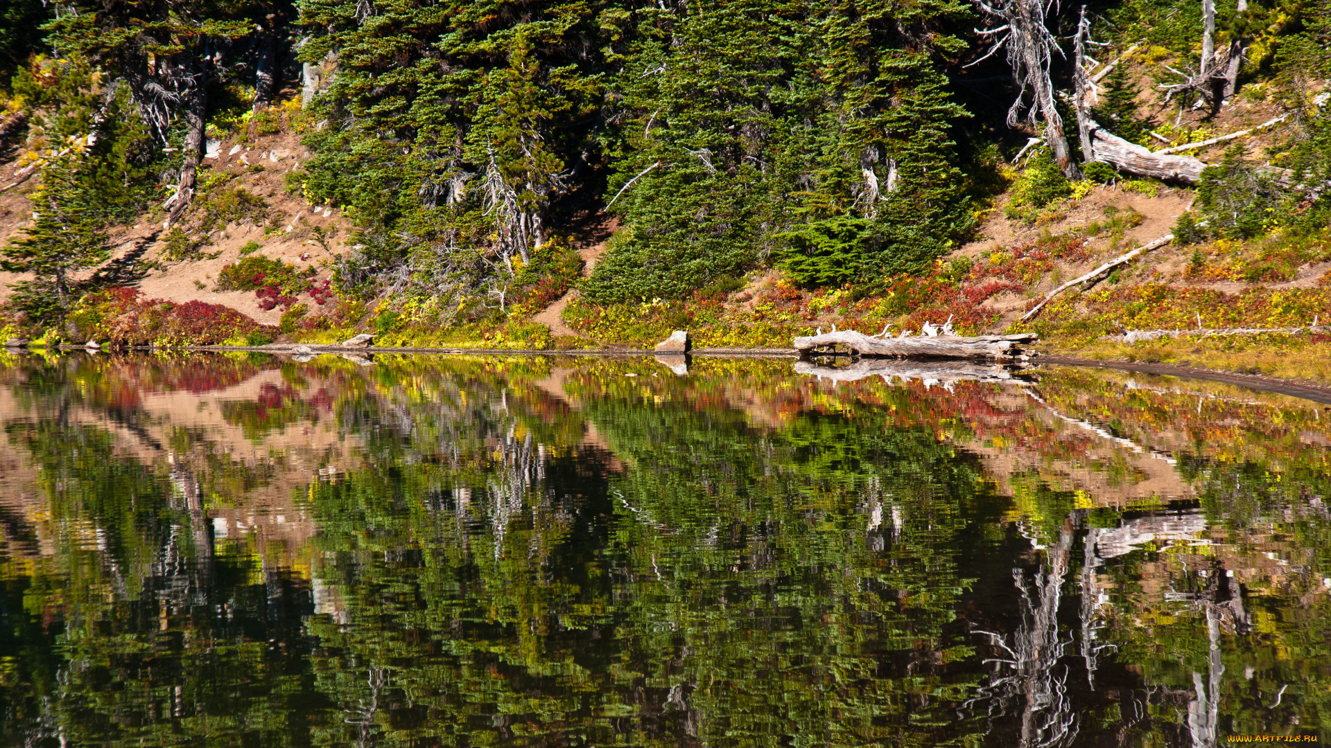 природа, реки, озера, пейзаж