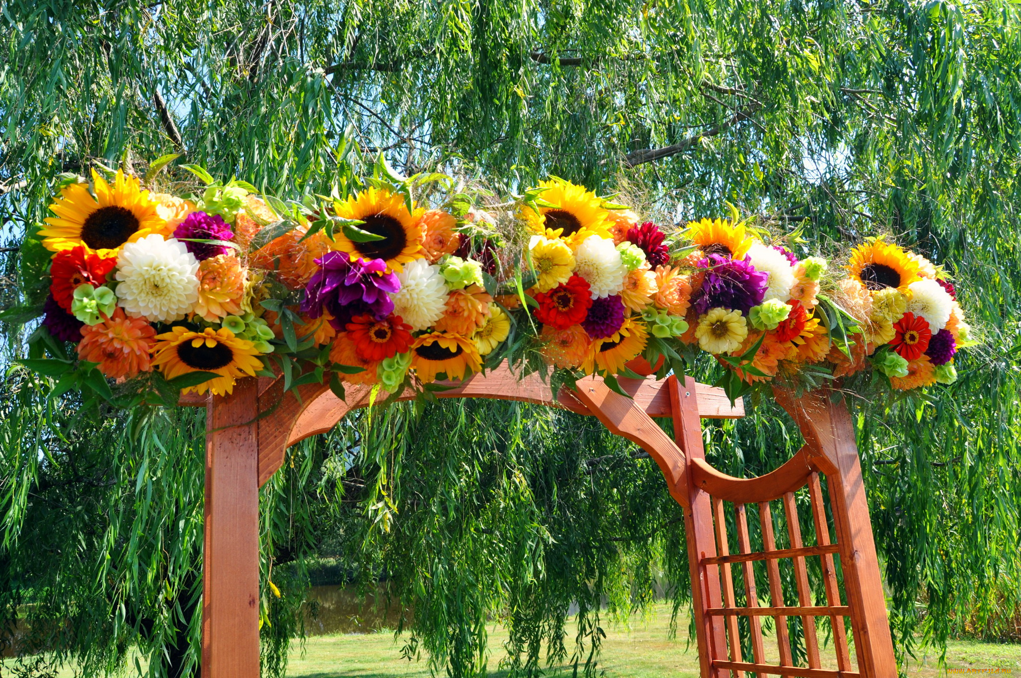 цветы, букеты, , композиции, подсолнухи, герберы, композиция, георгины