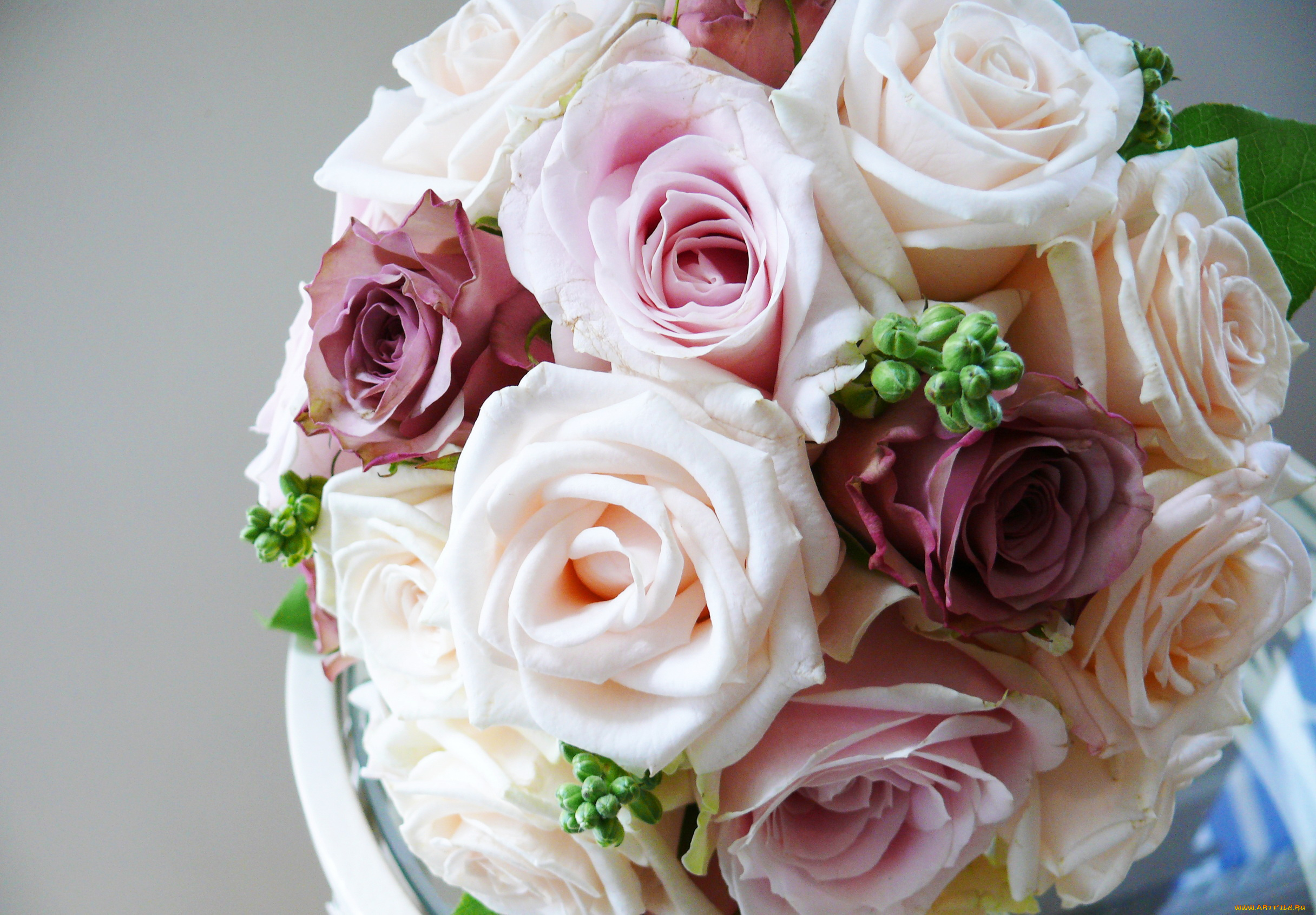 цветы, розы, букет