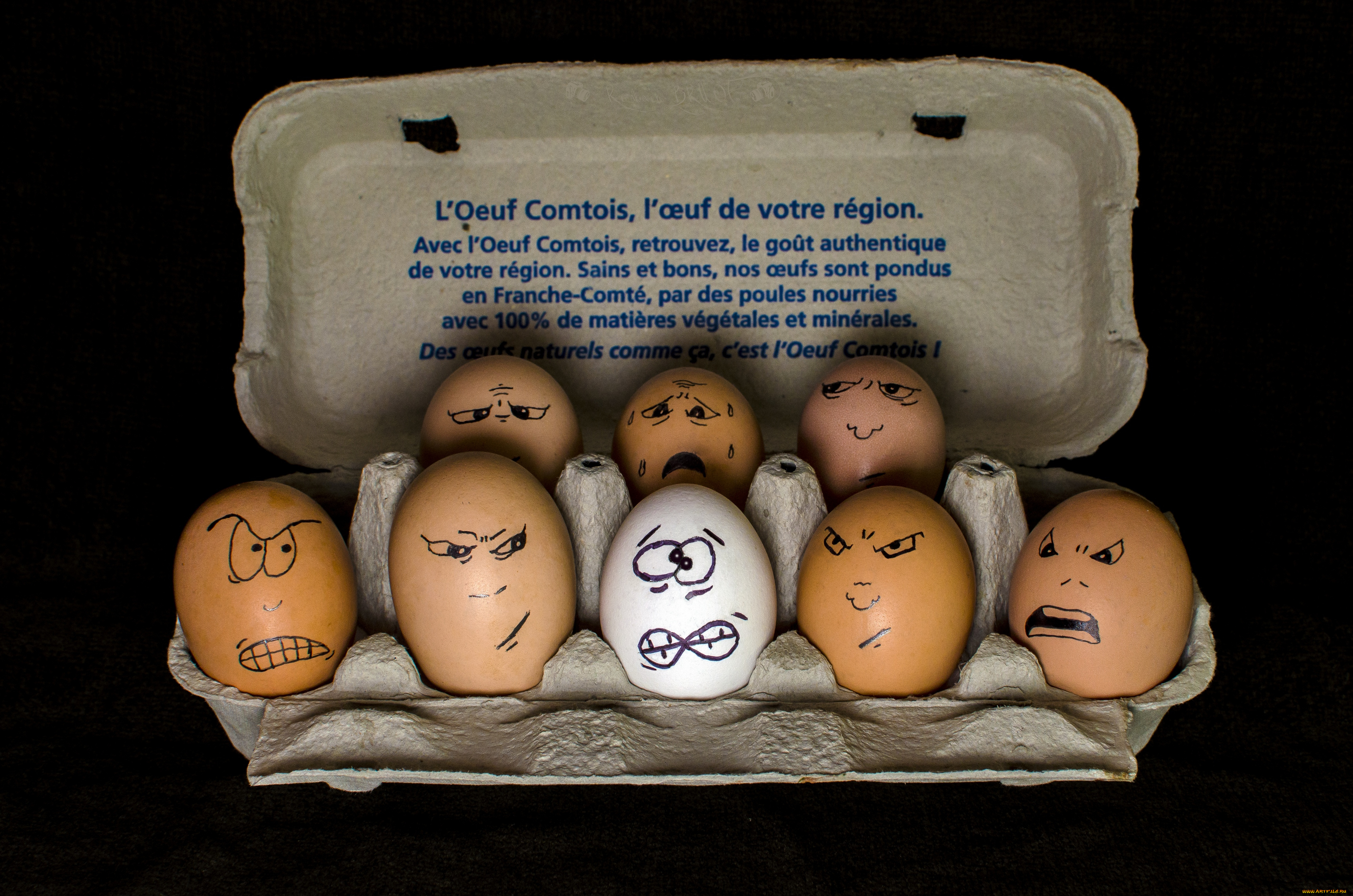 юмор, и, приколы, рожицы