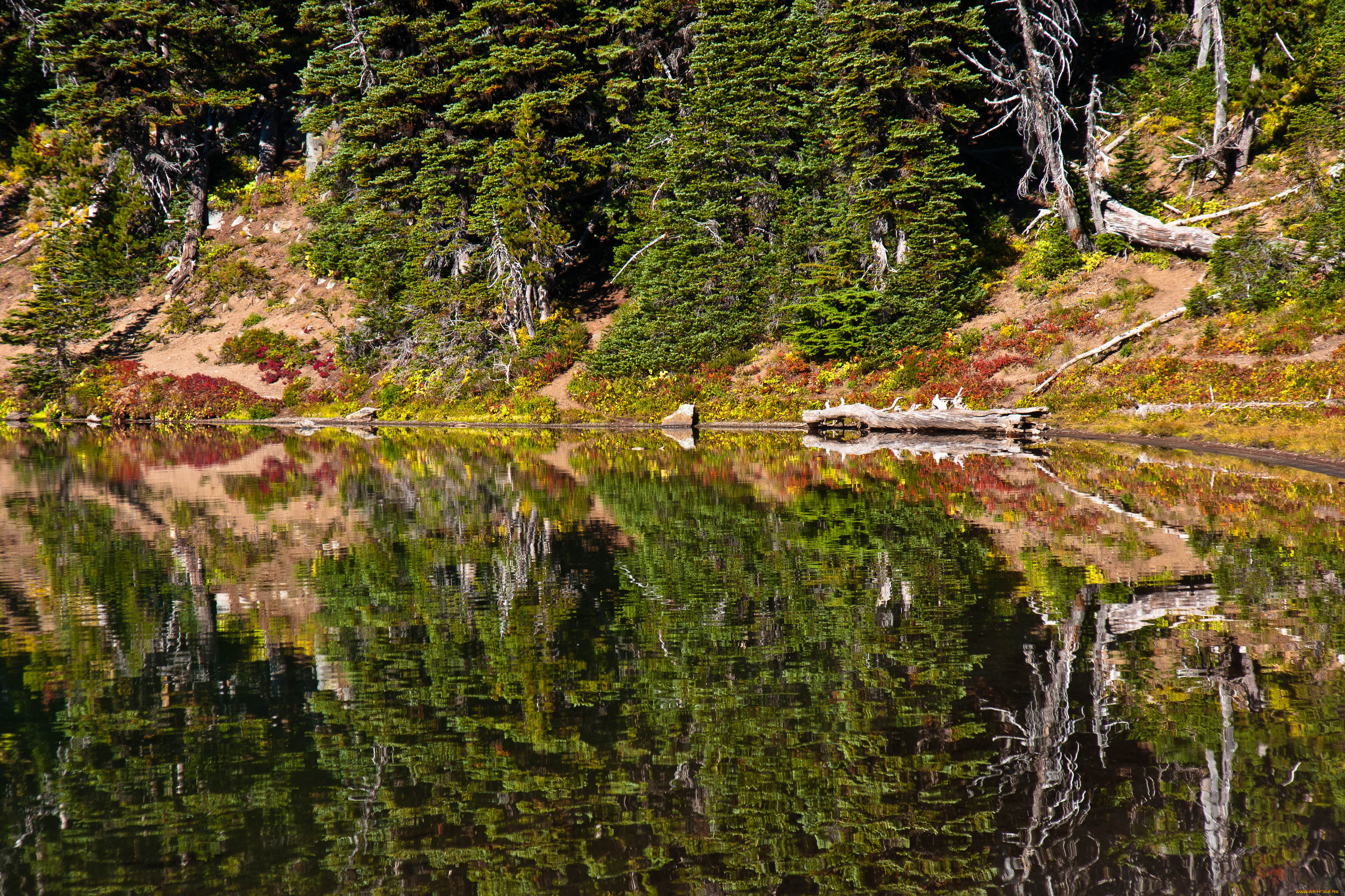 природа, реки, озера, пейзаж